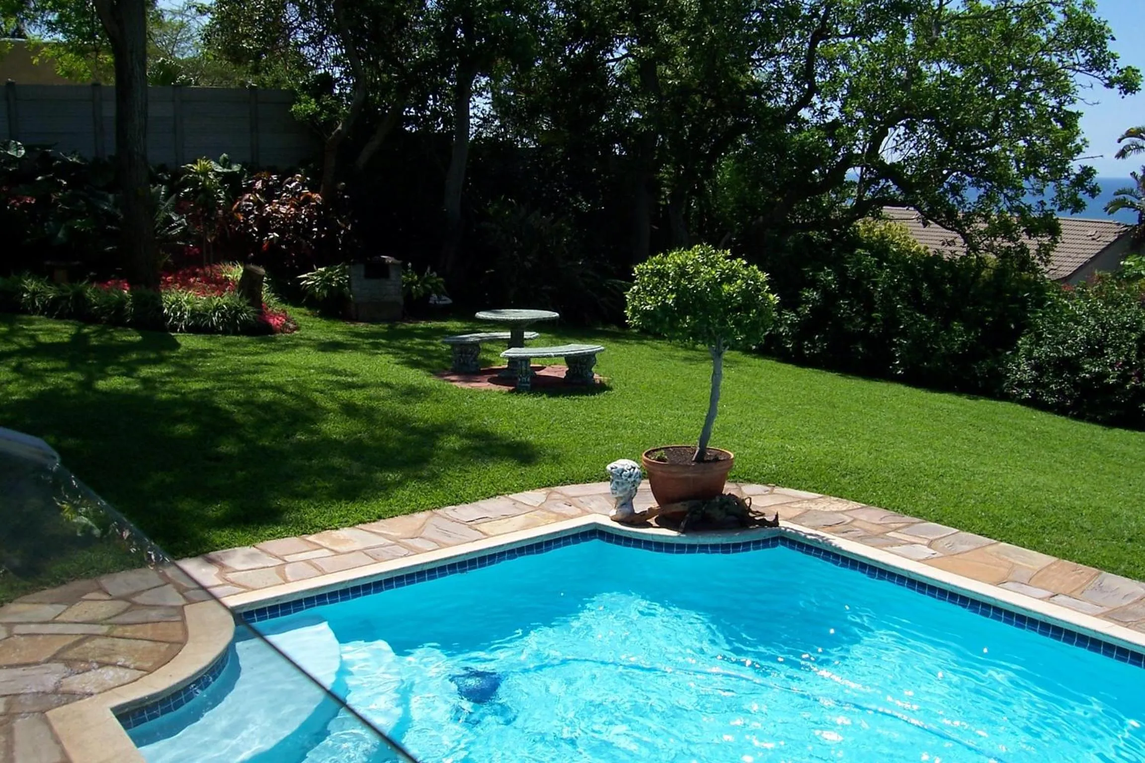 Swimming pool in Birdcage B&B