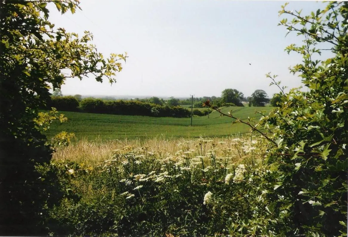 View (from property/room) in The Old School House Mordington