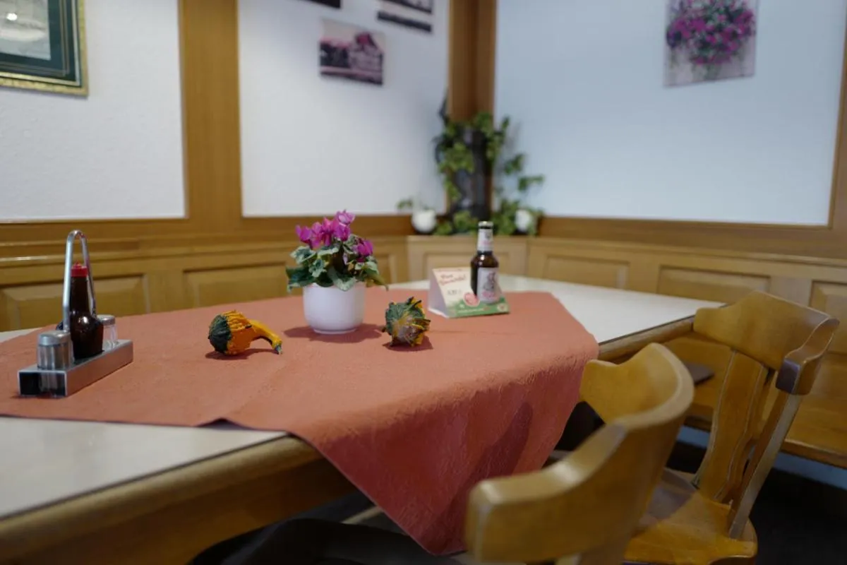 Food and drinks in Hotel Stern