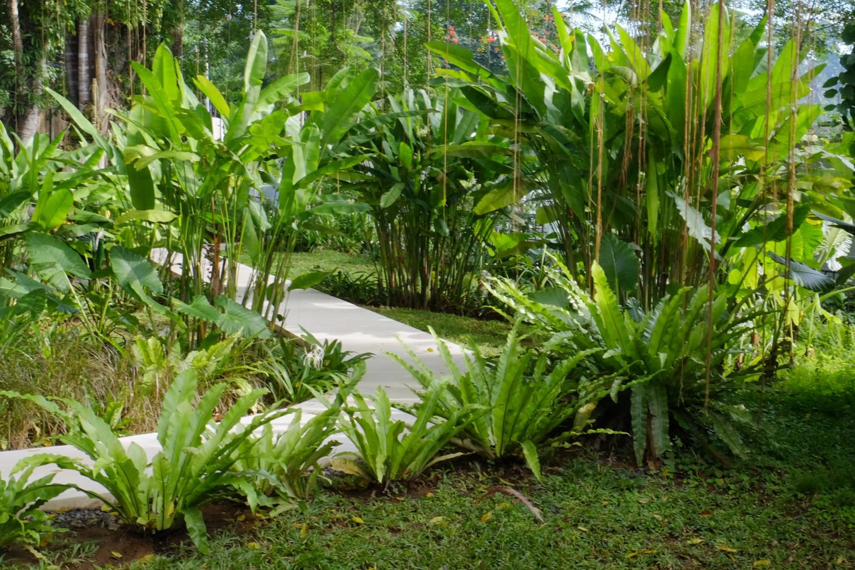 Natural landscape in Bumi Kinar Skylight