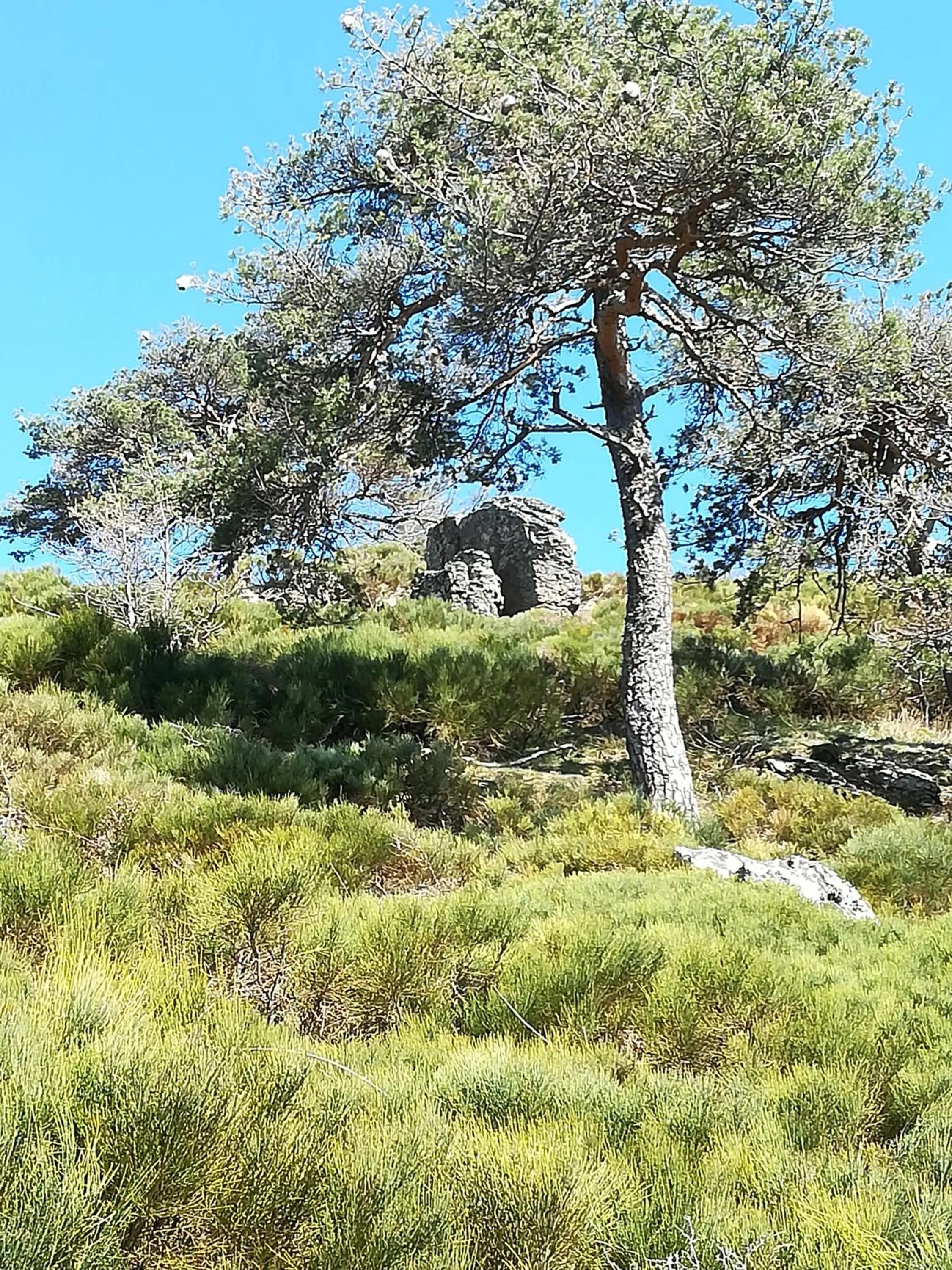 Le Relais De Rochepaule