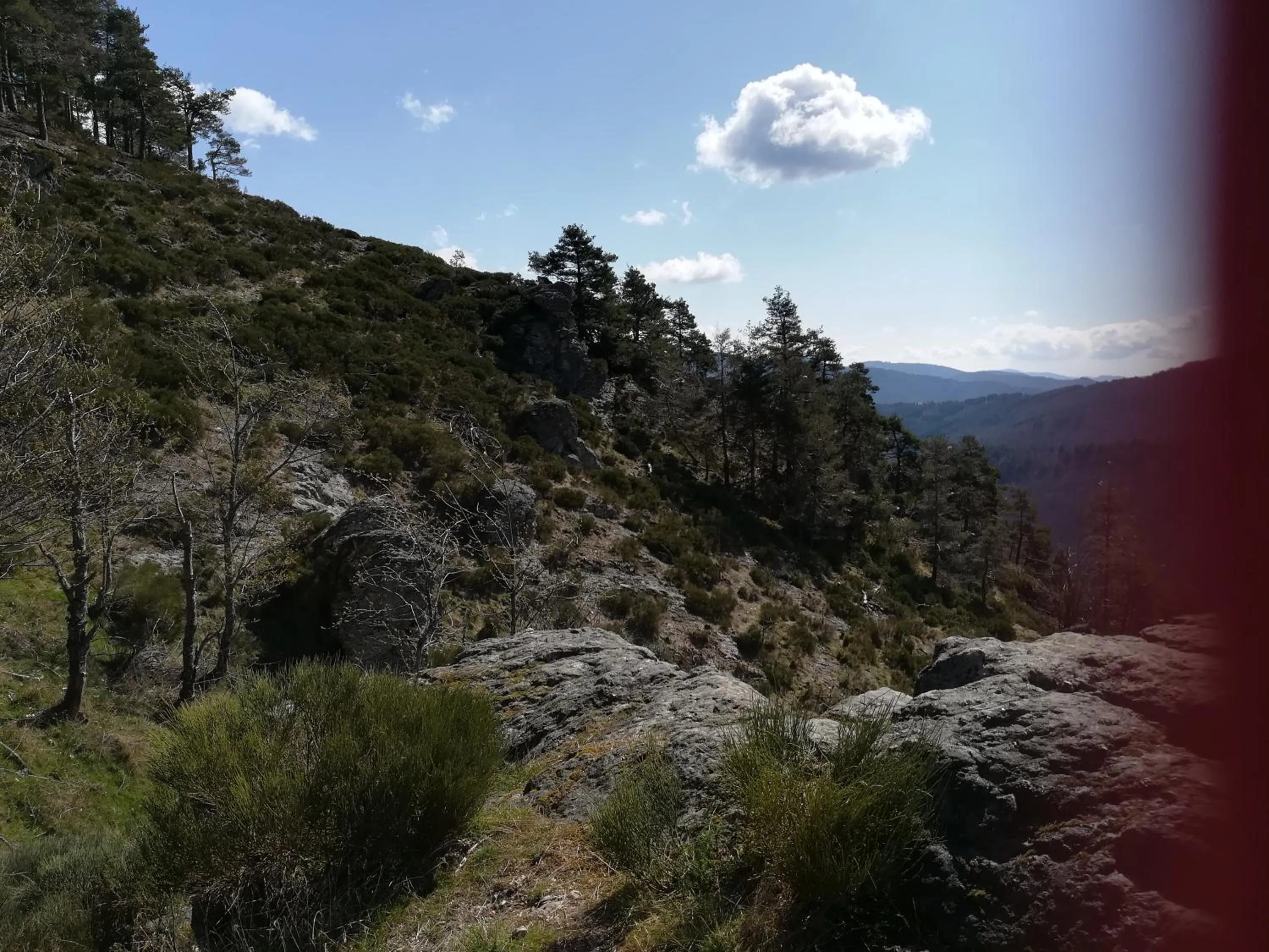 Le Relais De Rochepaule