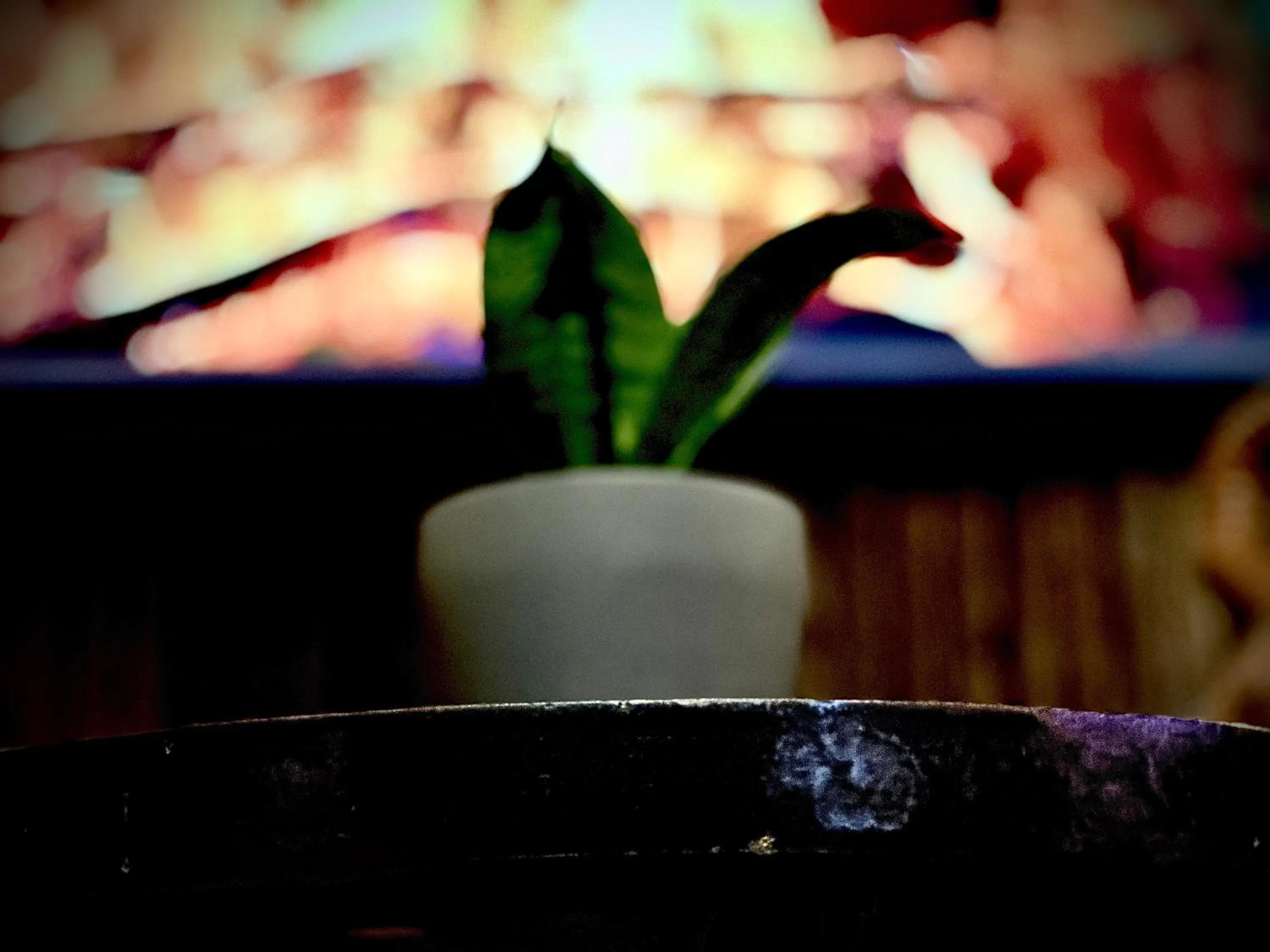 Communal lounge/ TV room in Privathotel Riesenbeck