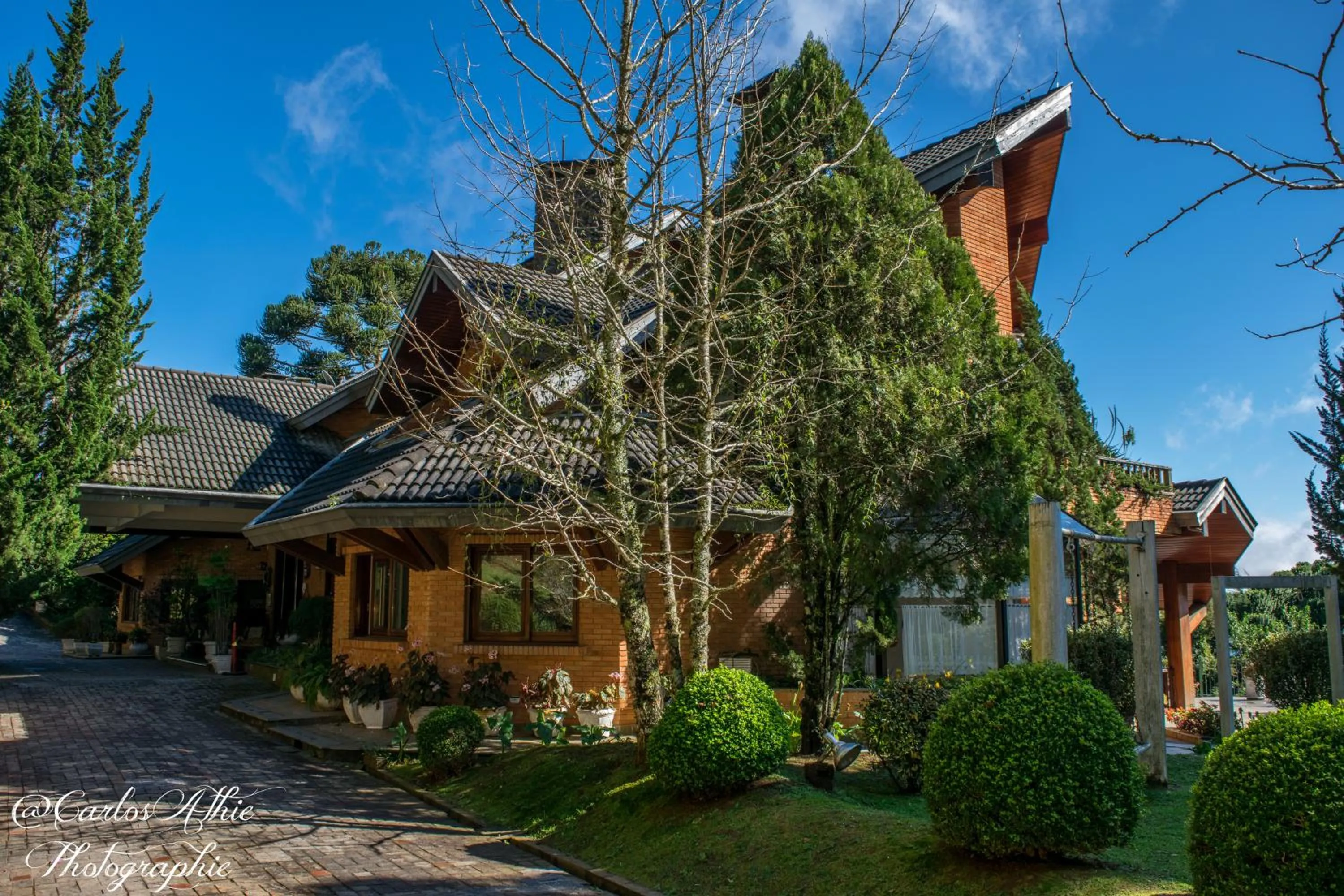 Garden view in Villa da Esperança