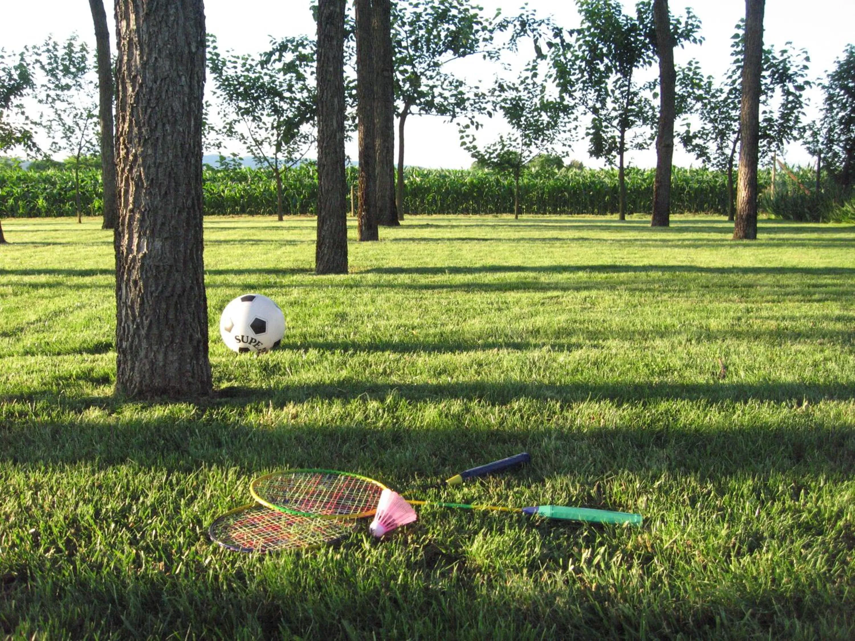 Children play ground in B&B Borgo Arcadia