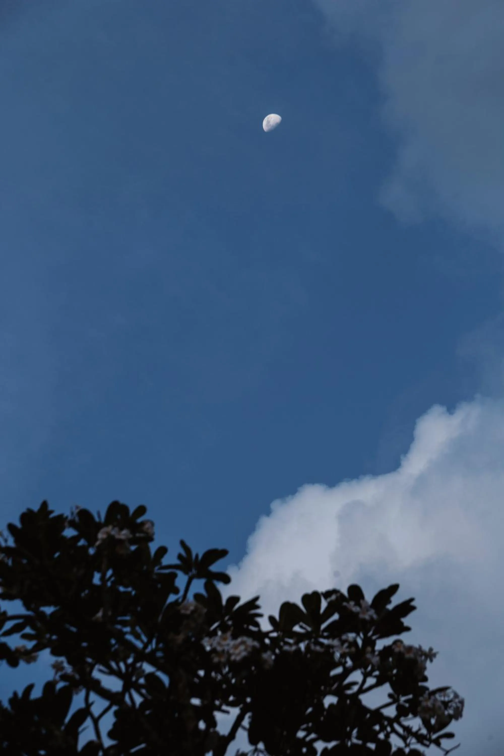 Day in The Postcard Galle