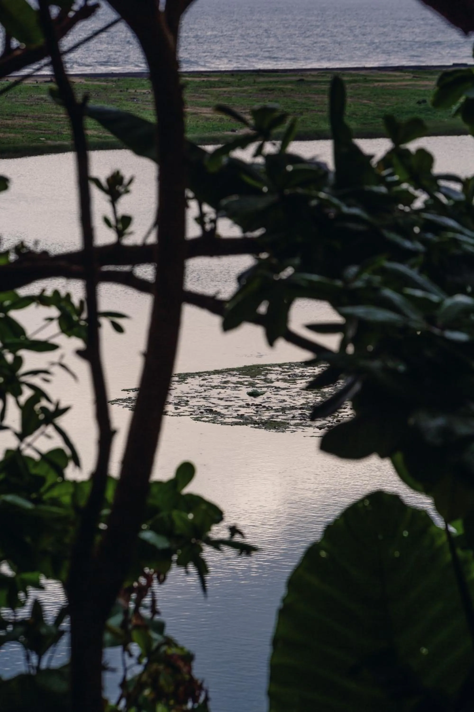 River view in The Postcard Galle