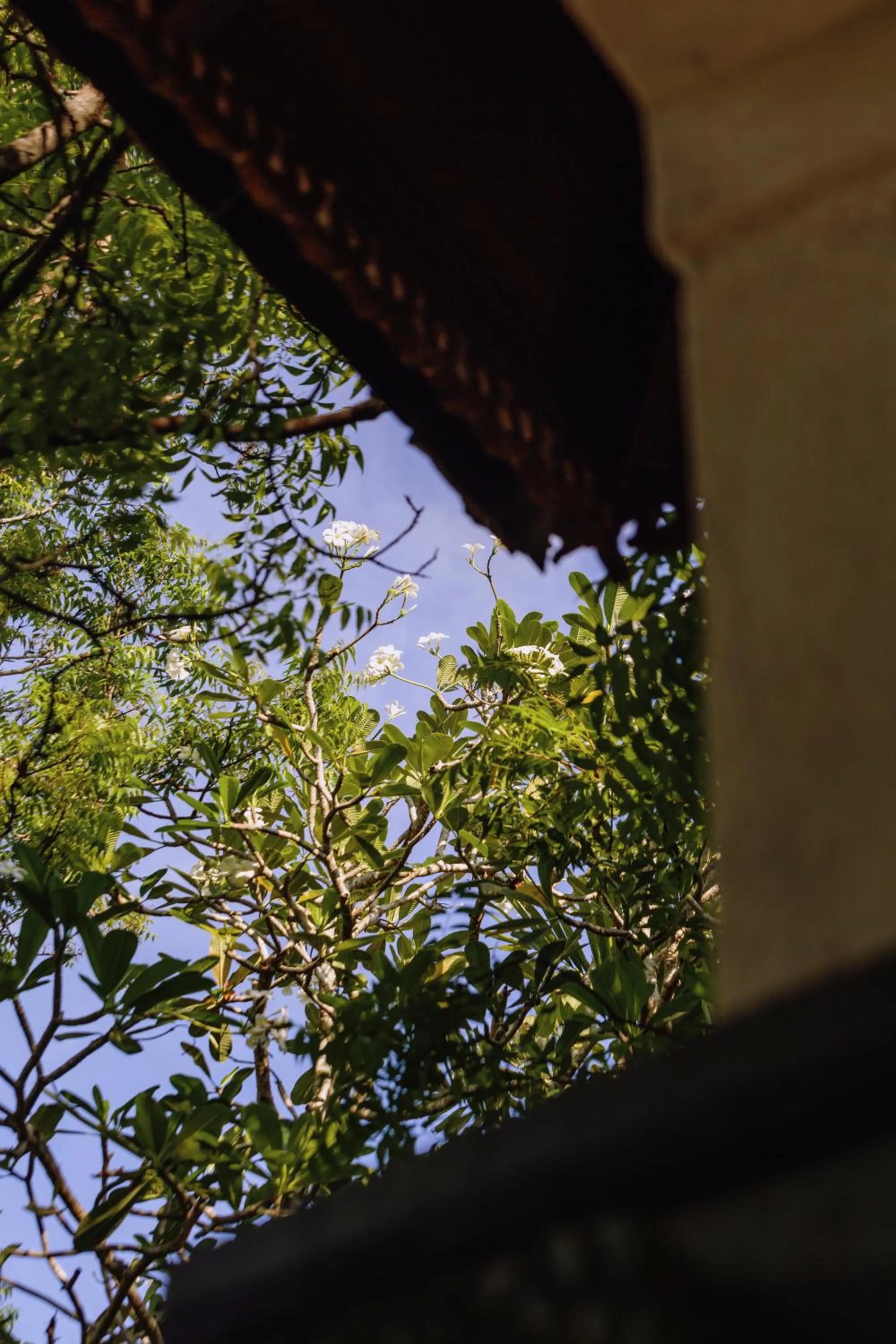 Spring in The Postcard Galle