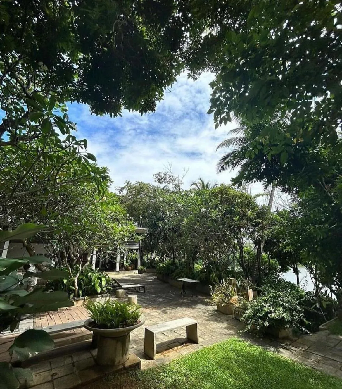 Garden view in The Postcard Galle