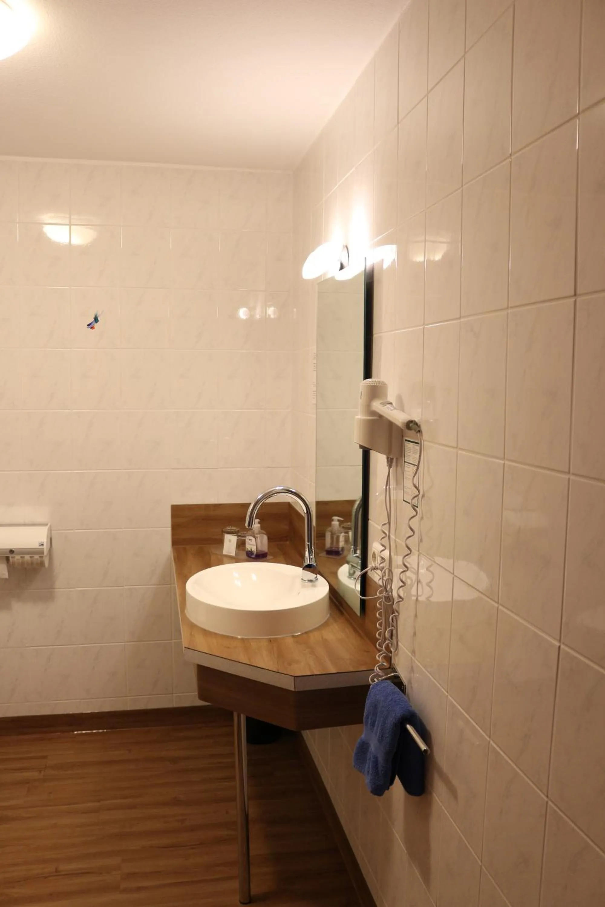 Photo of the whole room in Hotel Baldus