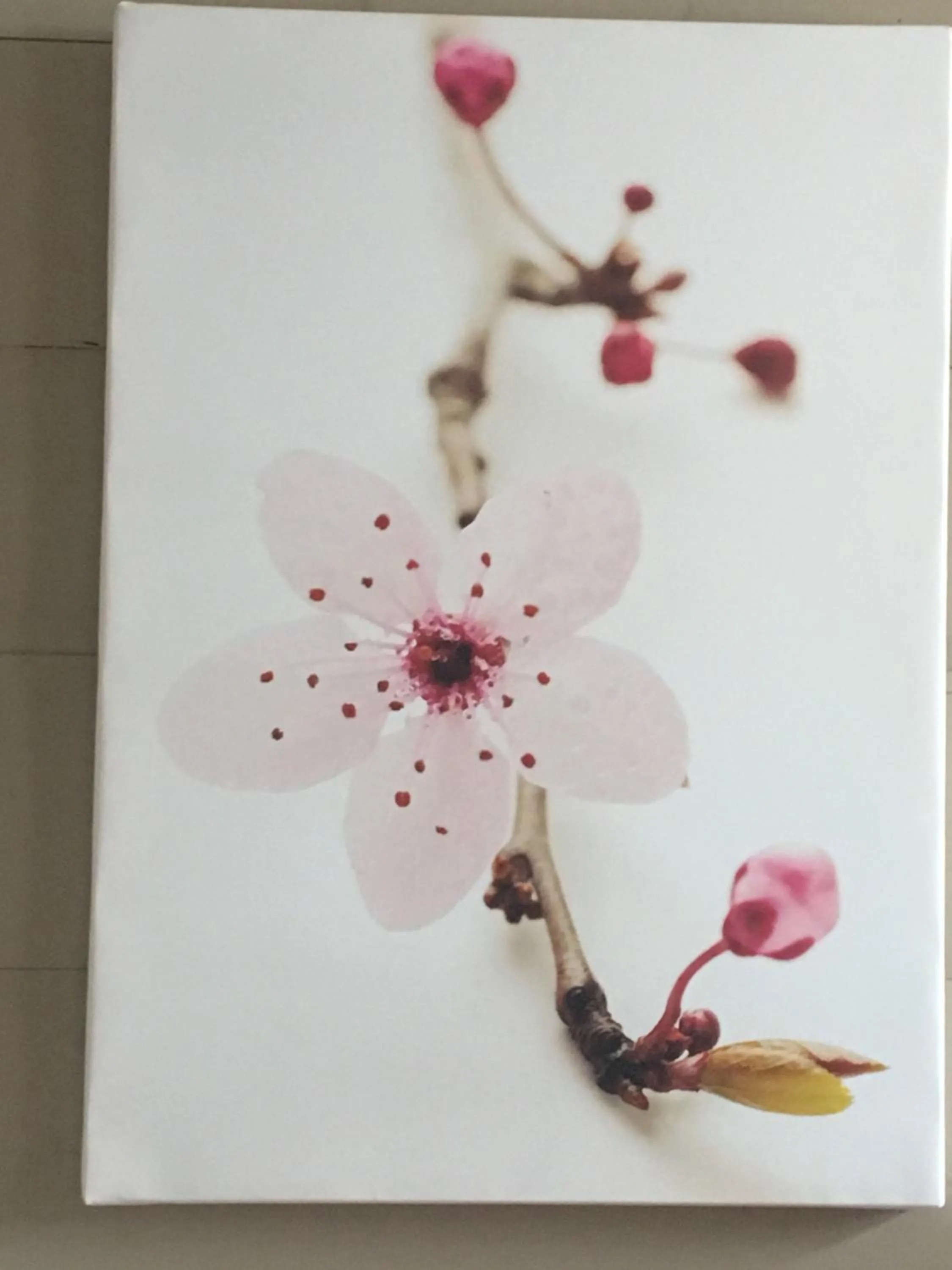 Other in Hôtel Familial L'Ostréi