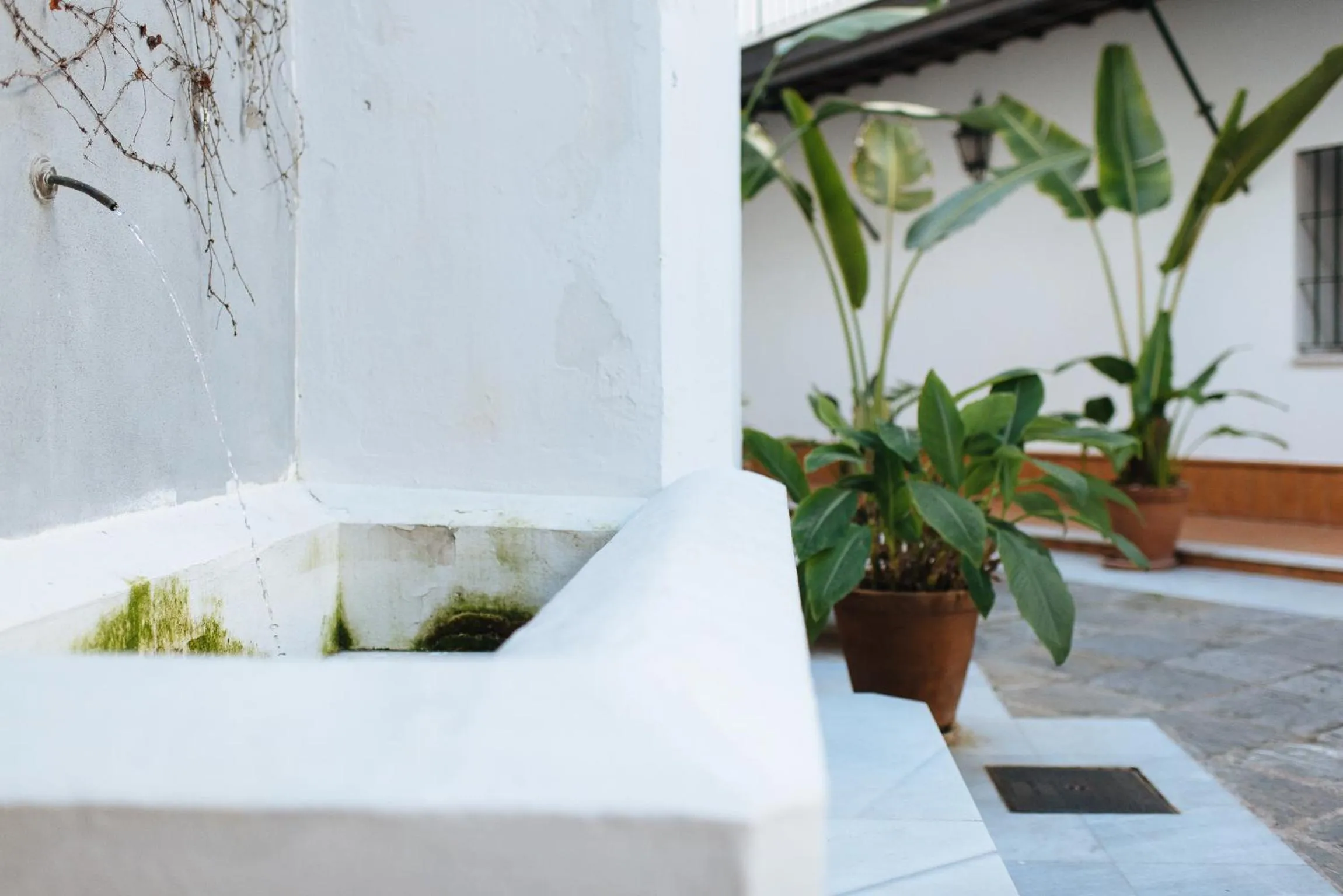 Patio in Singular Corral de San José