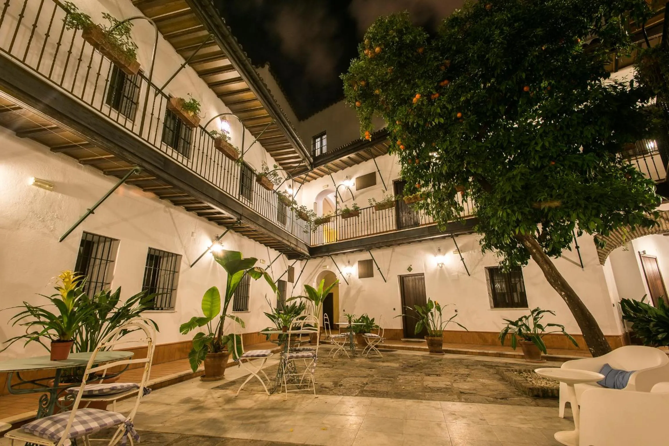 Property building in Singular Corral de San José