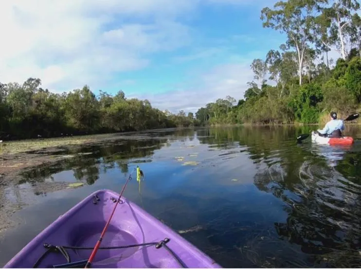 Canoeing in Gladstone Backpackers