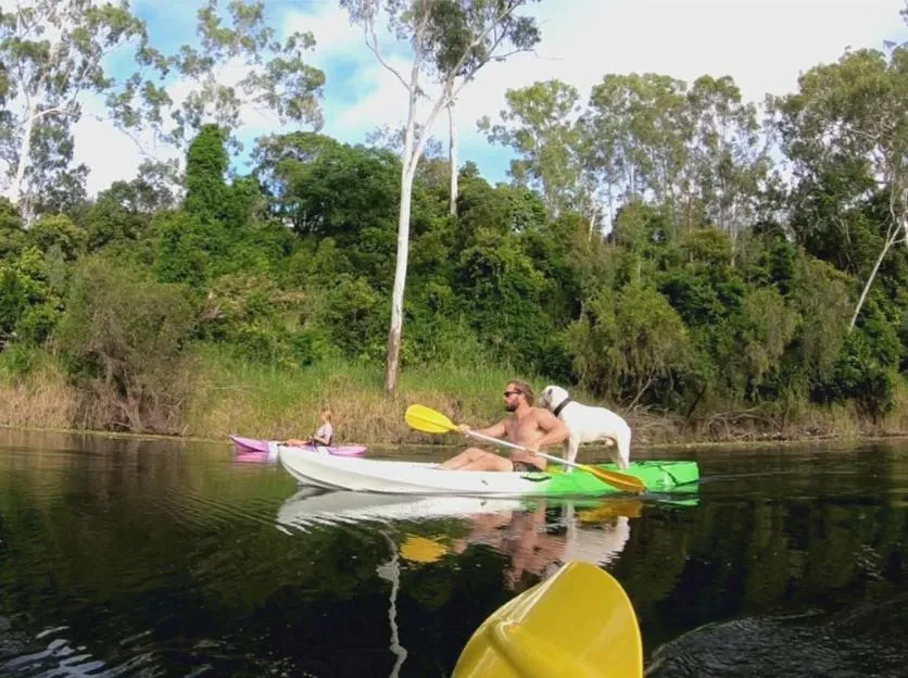 Canoeing in Gladstone Backpackers