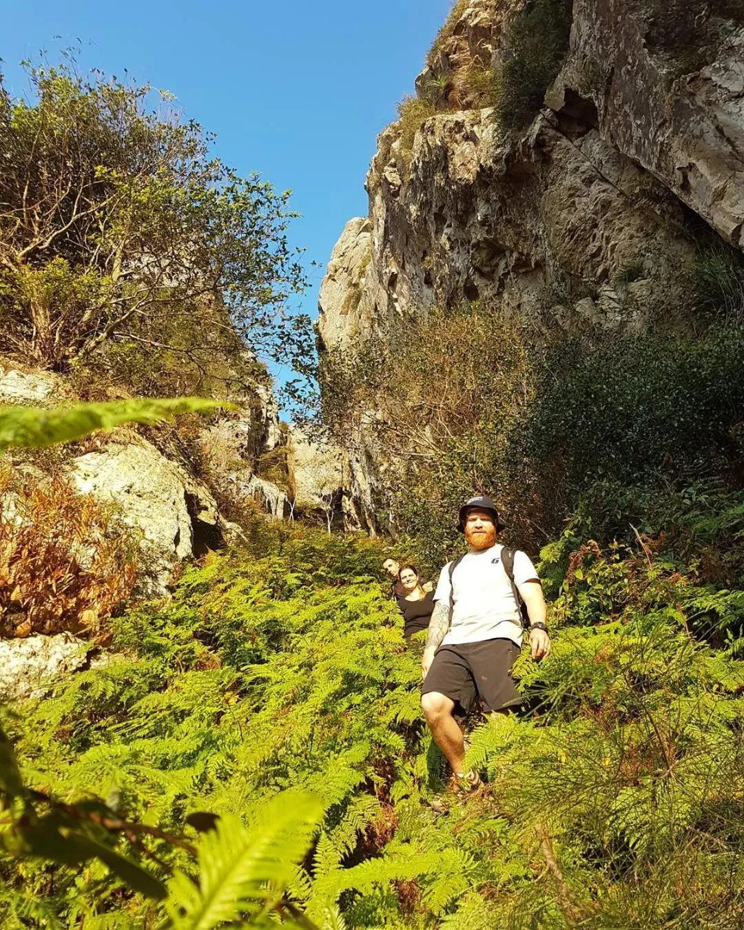 Hiking in Gladstone Backpackers