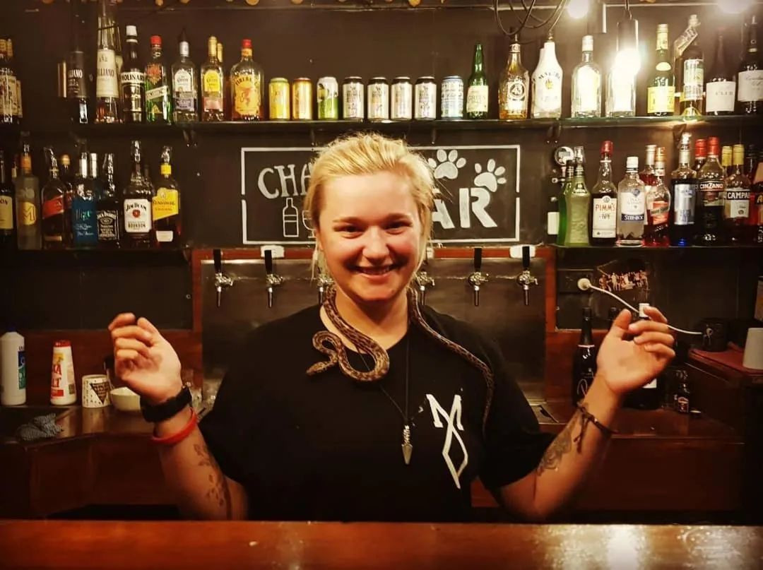 People in Gladstone Backpackers