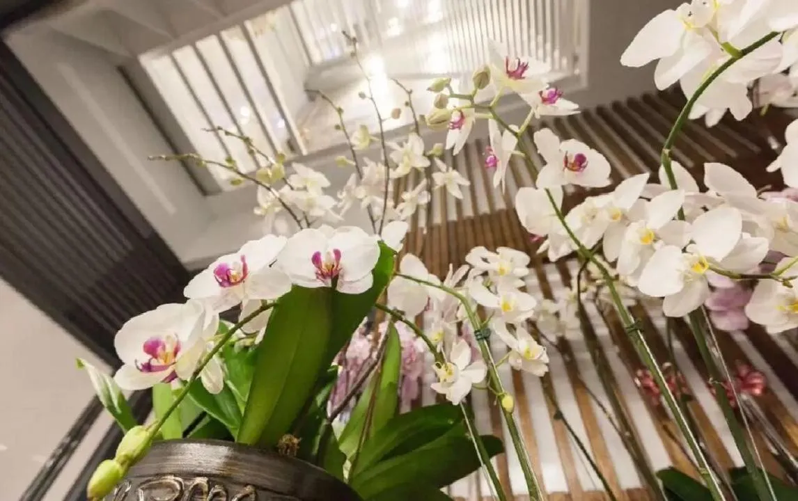 Lobby or reception in Lanven Art House