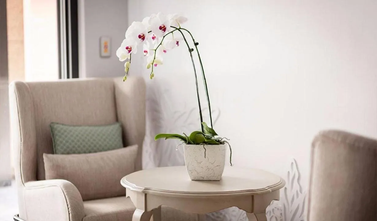 Living room in Lanven Art House