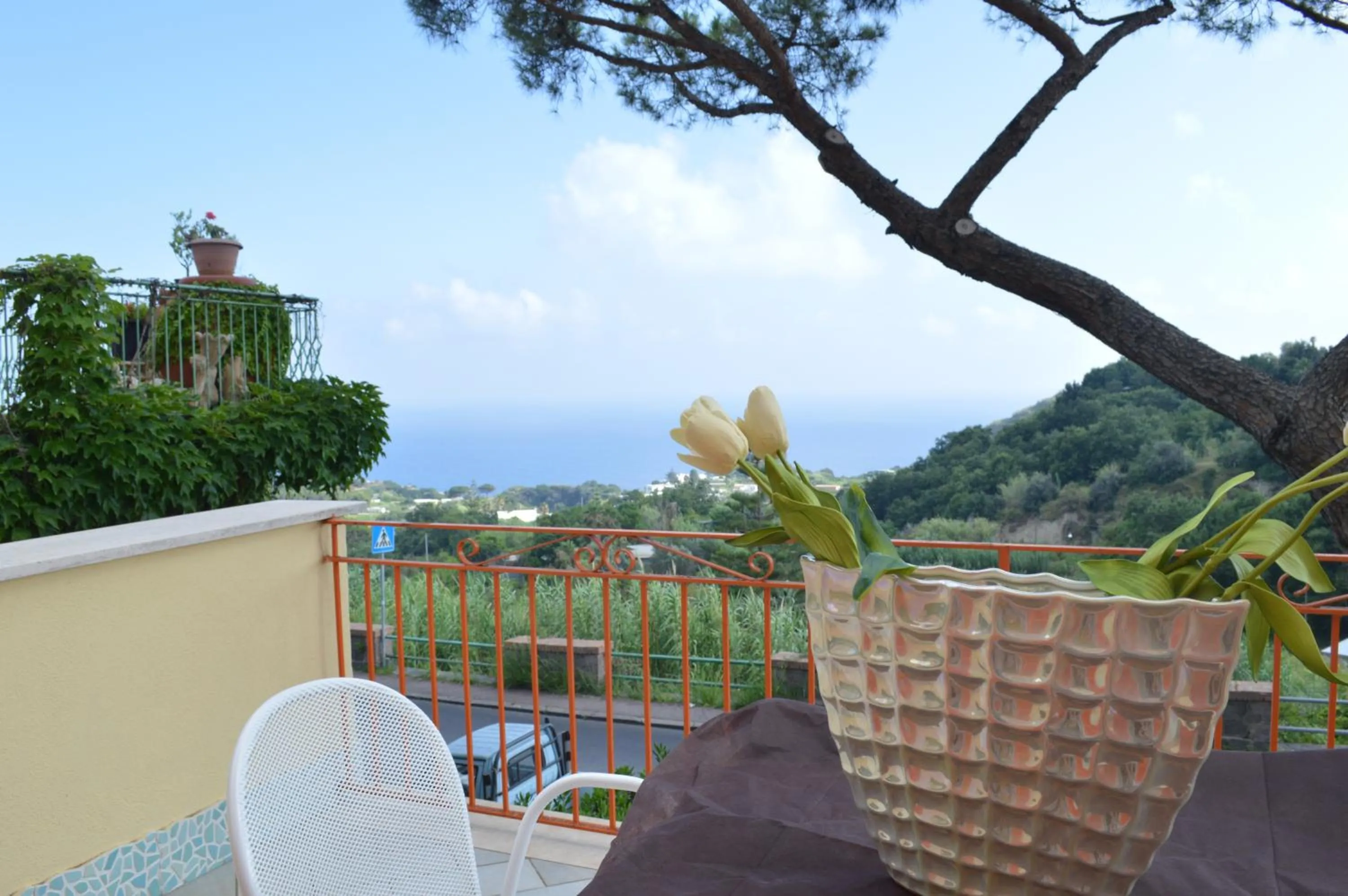 Balcony/Terrace in Hotel Polito