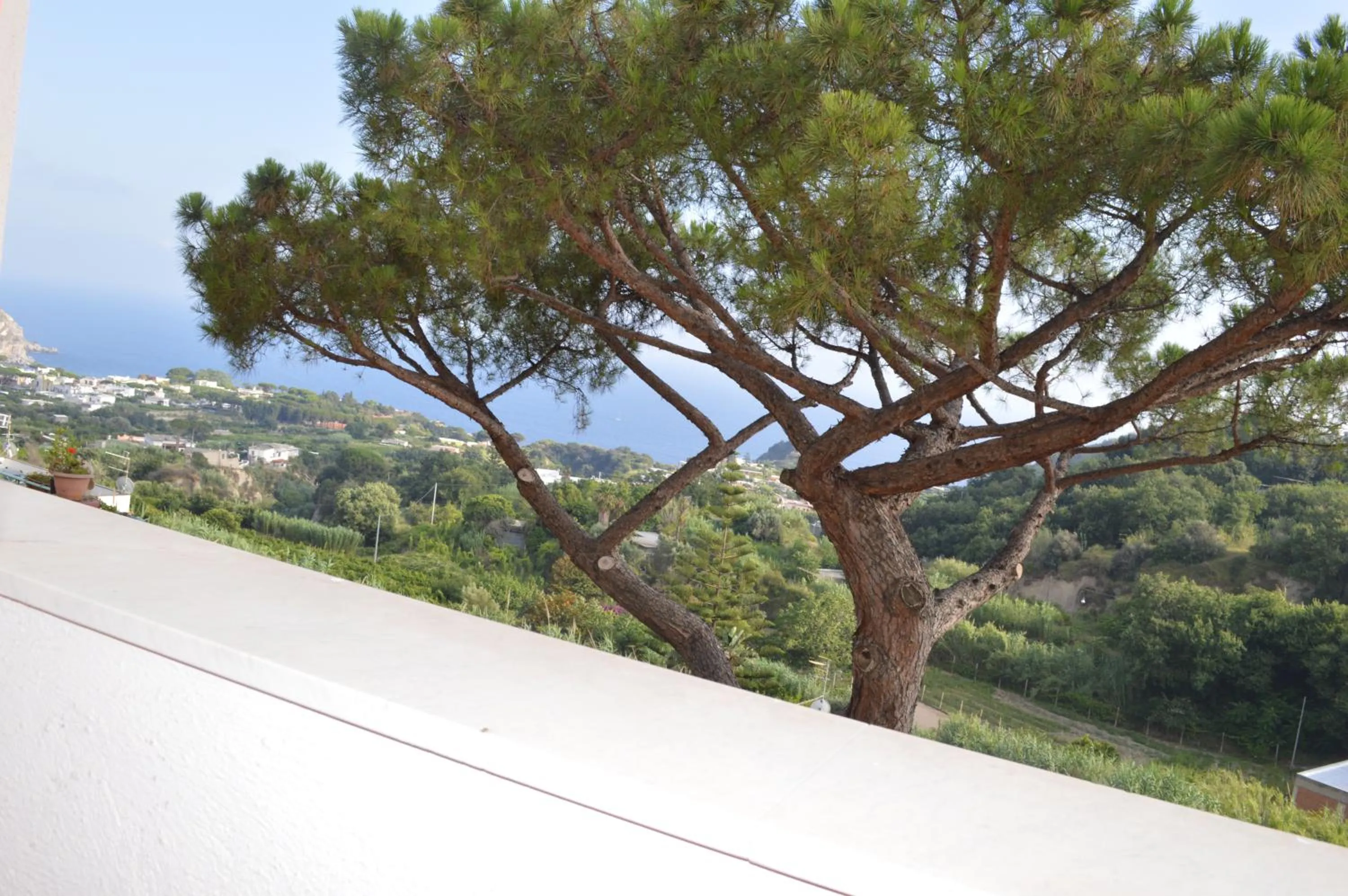 Sea view in Hotel Polito