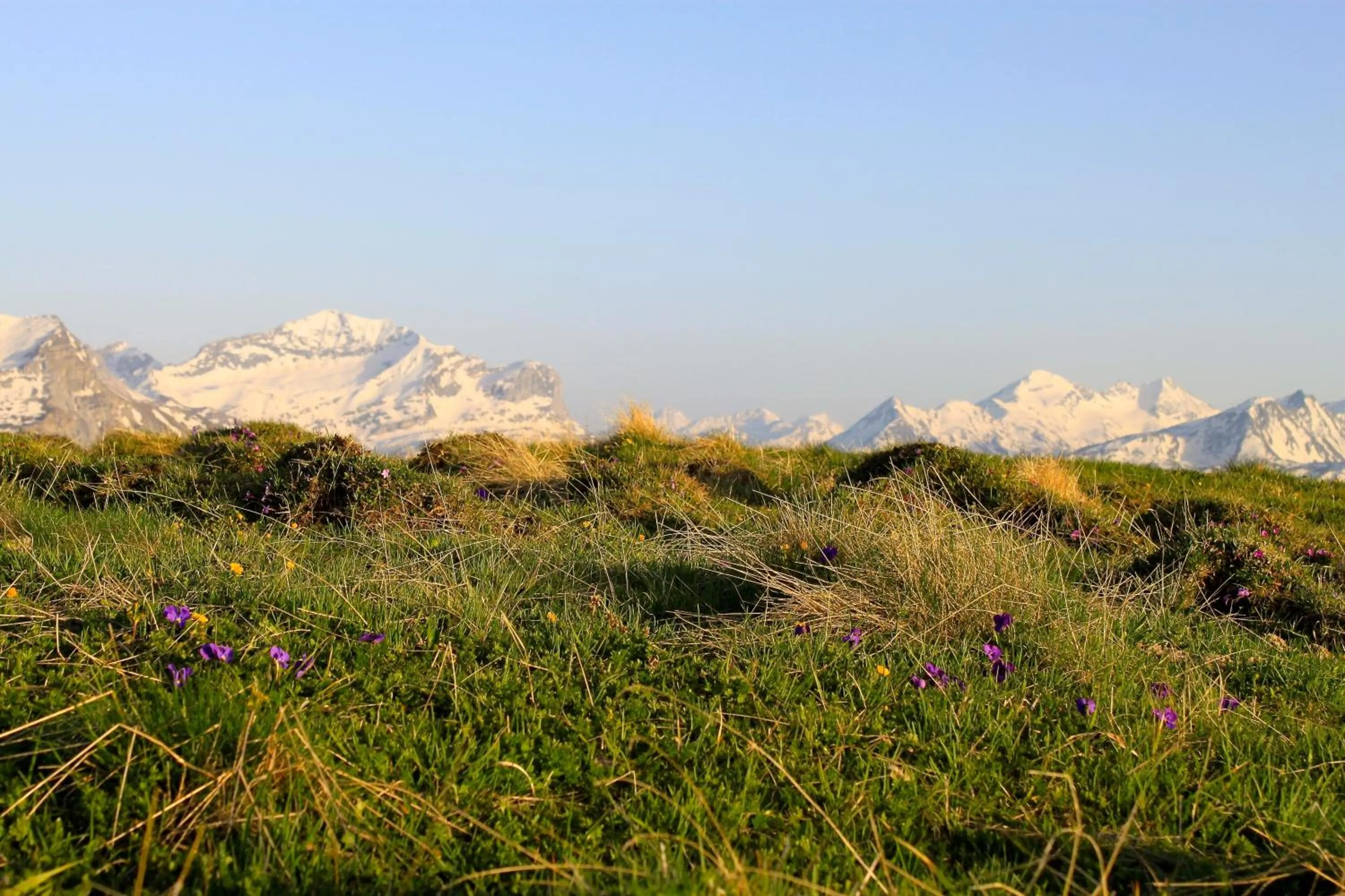 Spring in Pension Laresch