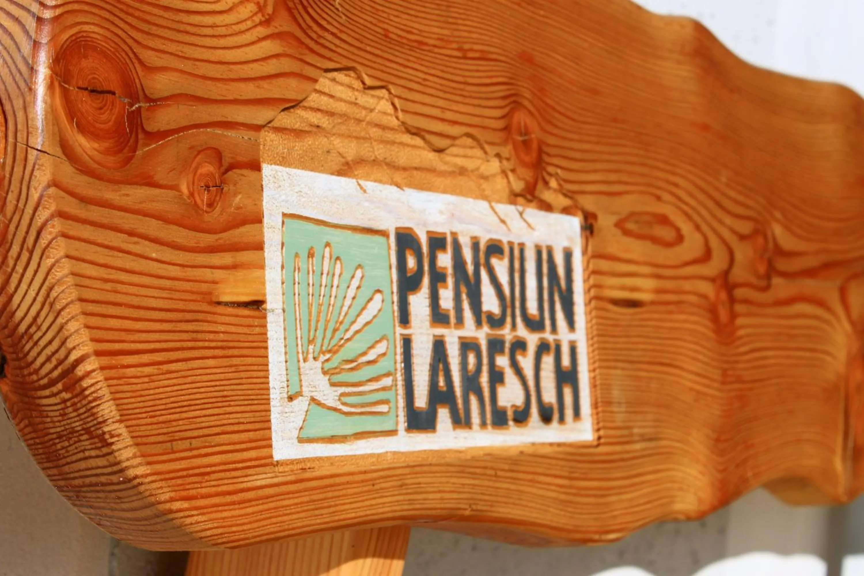 Balcony/Terrace in Pension Laresch