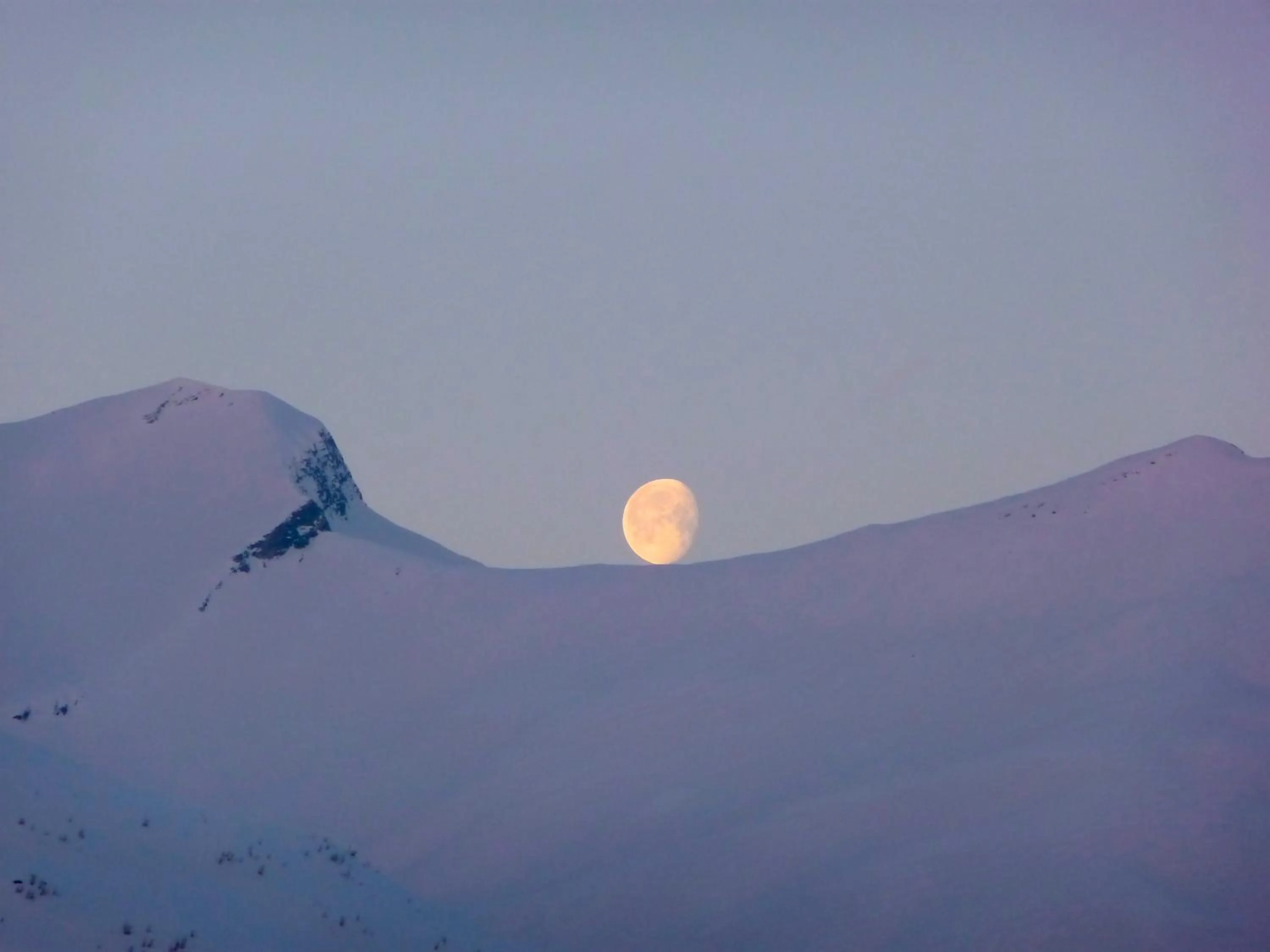 Natural landscape in Pension Laresch