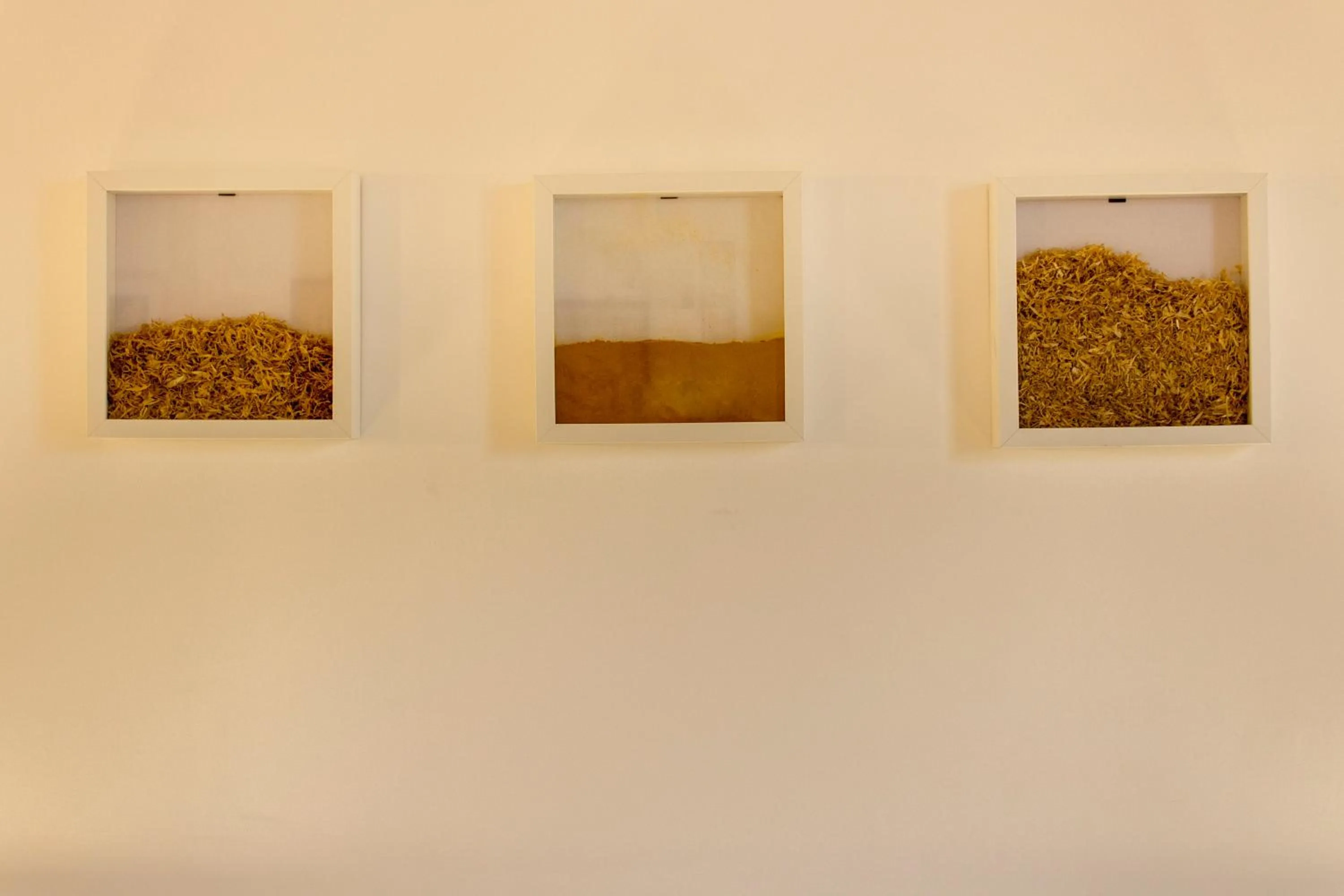 Decorative detail in Sui Tetti di Napoli