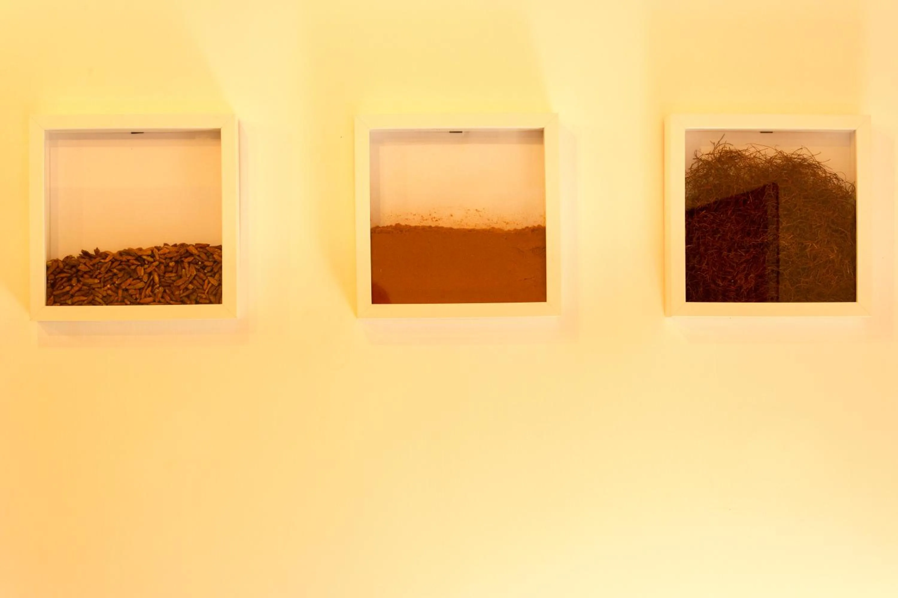 Decorative detail in Sui Tetti di Napoli