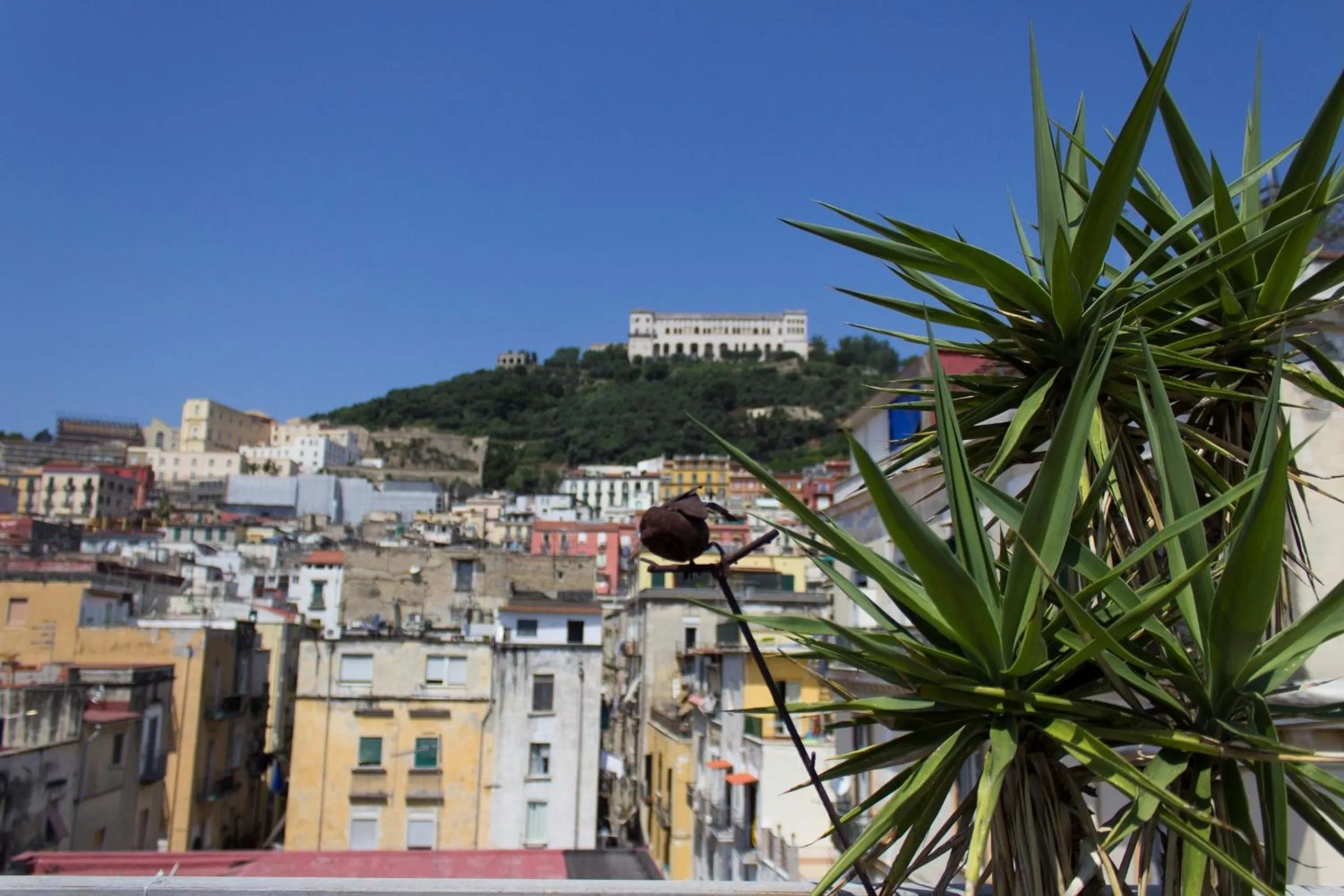 Balcony/Terrace in Sui Tetti di Napoli