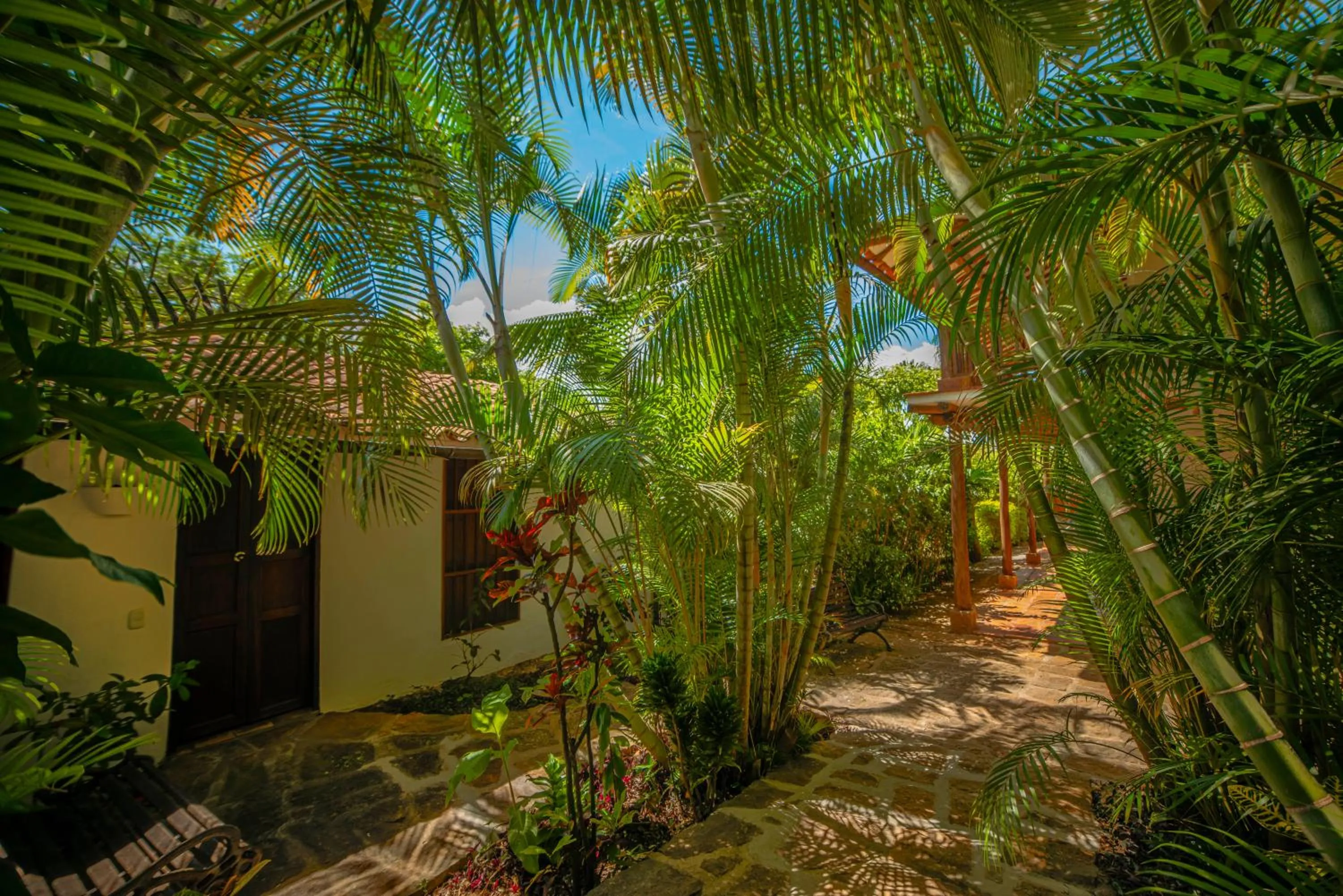 Day in Achiotte by Masaya Collection