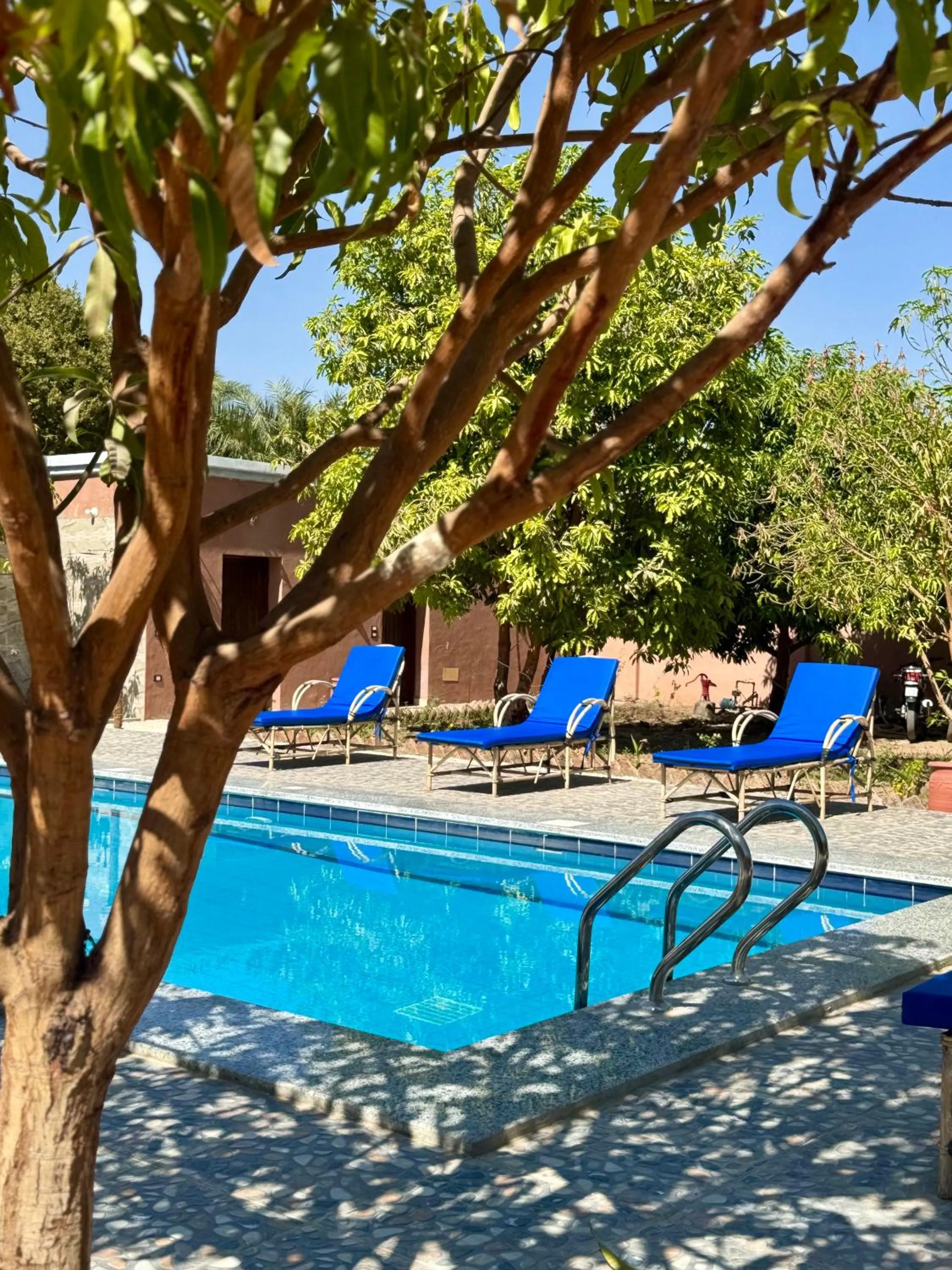 Pool view in El Juneina Villas