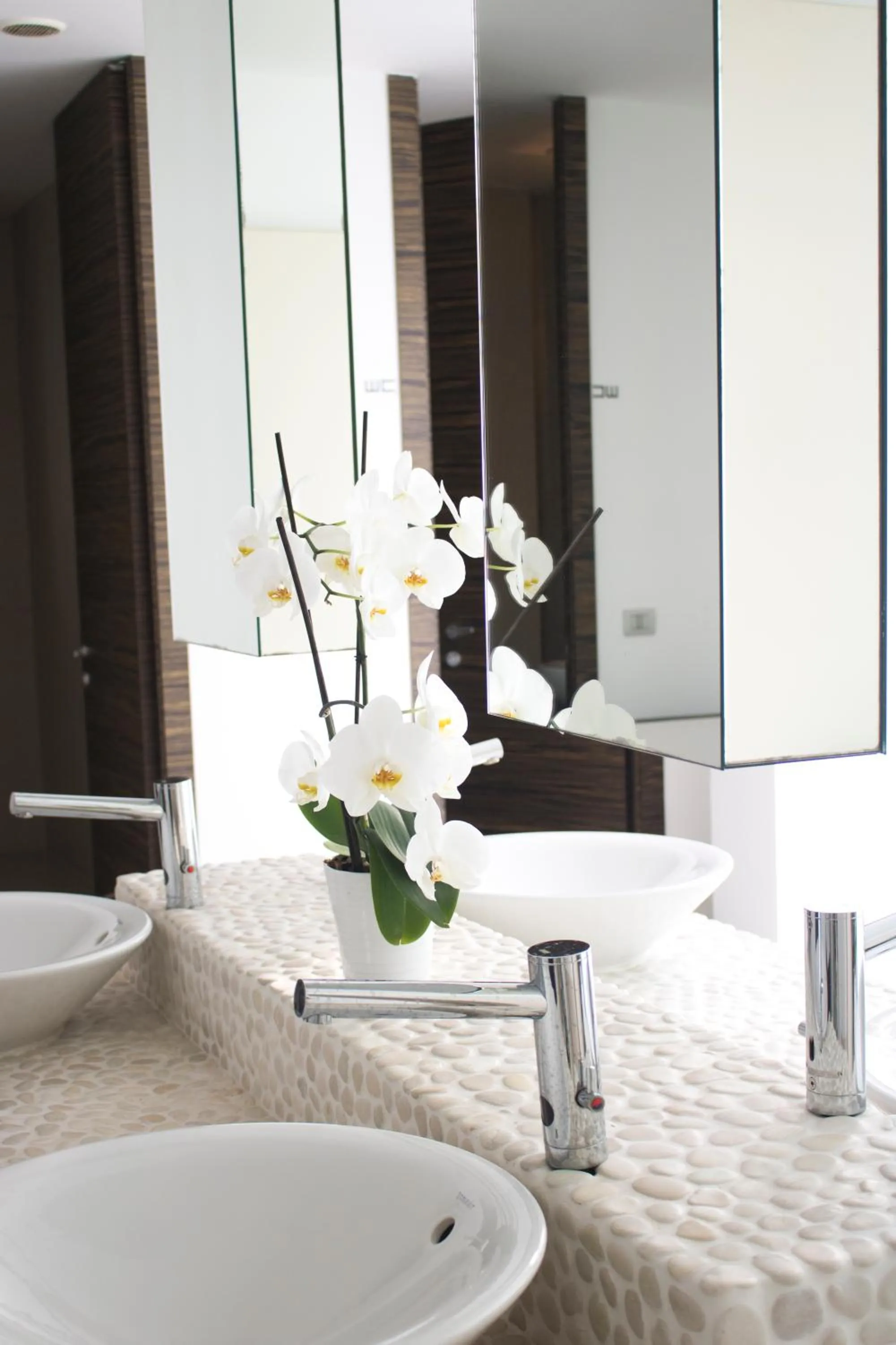 Area and facilities in White Hotel