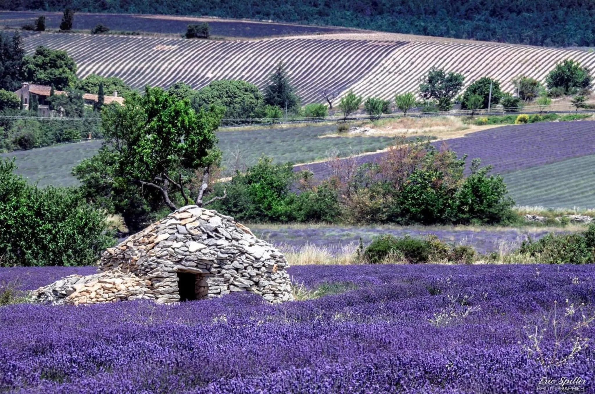 Nearby landmark in Hotel D'Albion