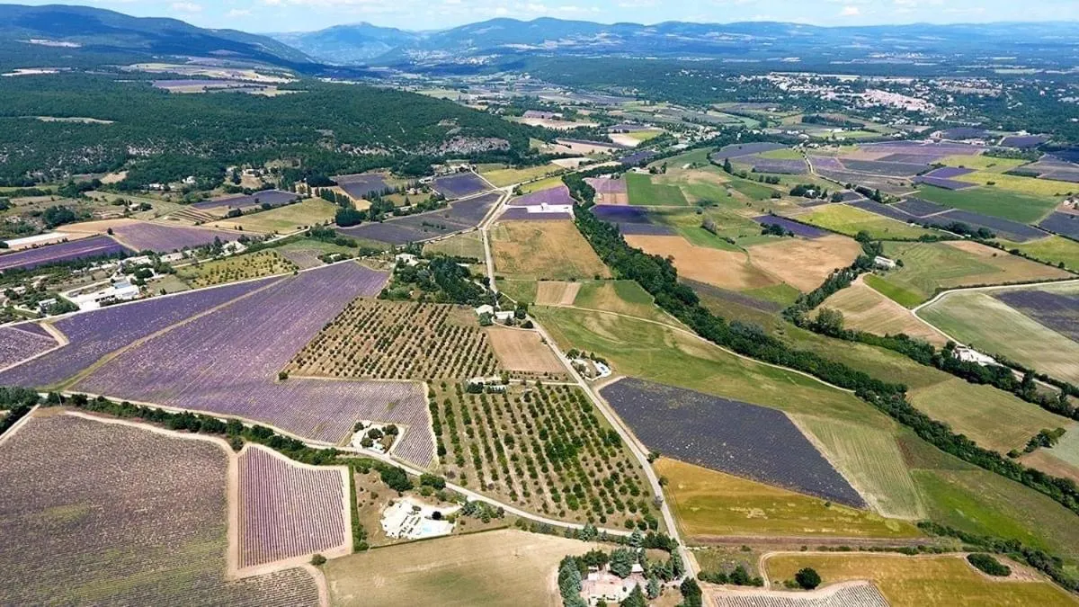 Bird's eye view in Hotel D'Albion