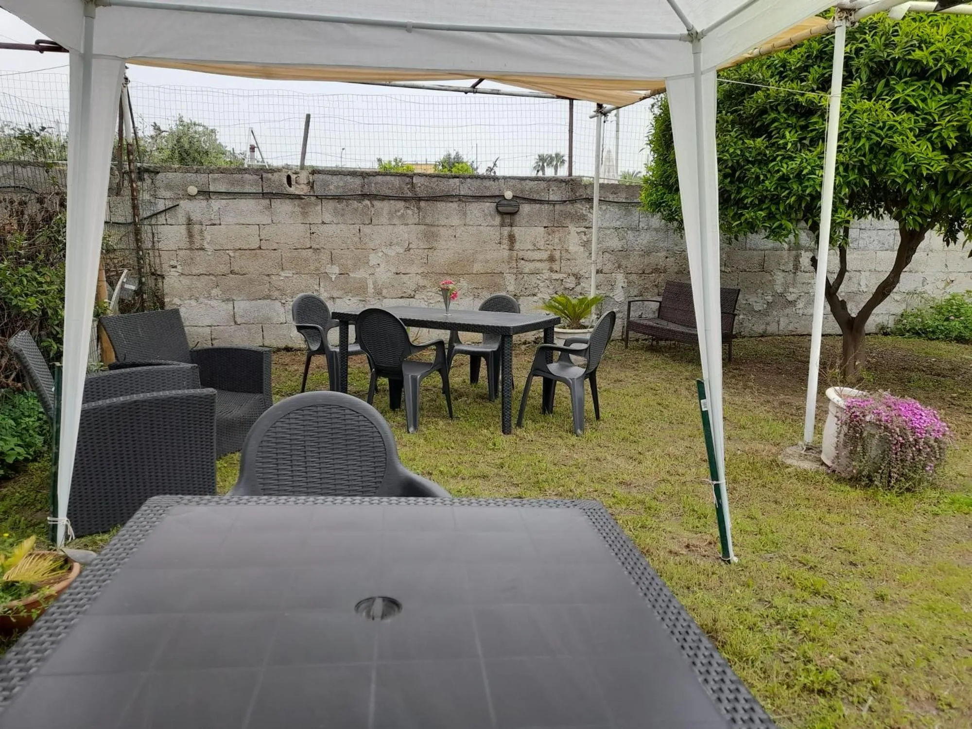 Garden in City Pompei Accommodations