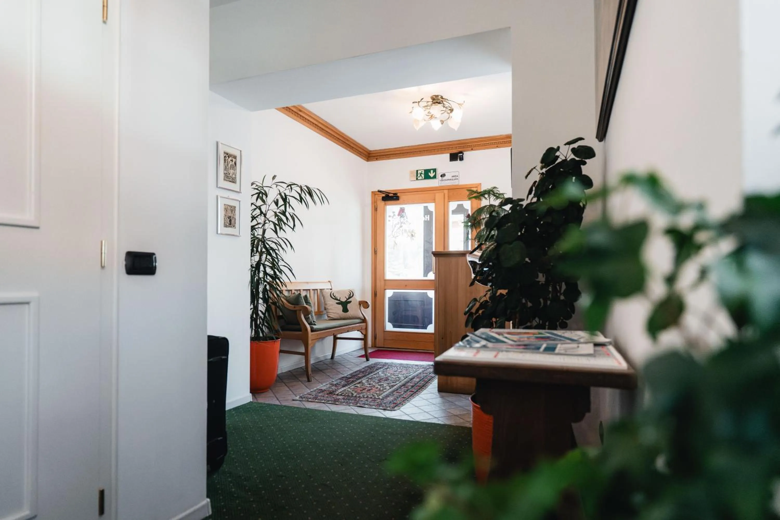 Lobby or reception, Bed in Hotel Oasi
