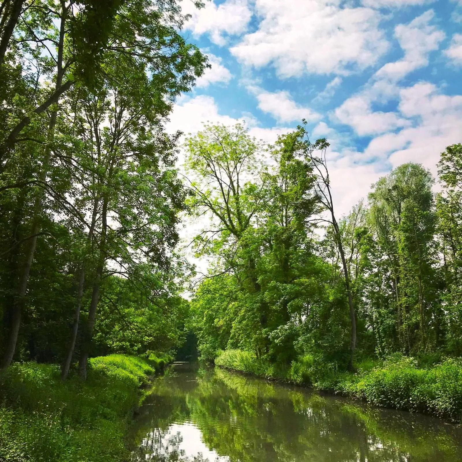 Nearby landmark in Mercure Maintenon