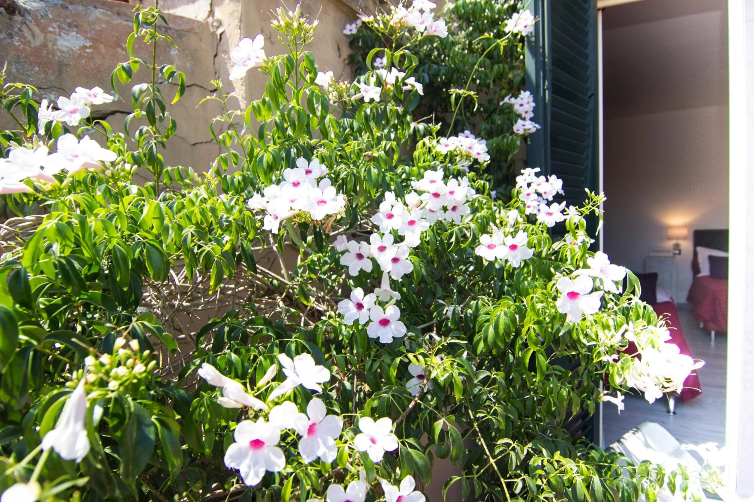 View (from property/room) in B&B 7 Rooms