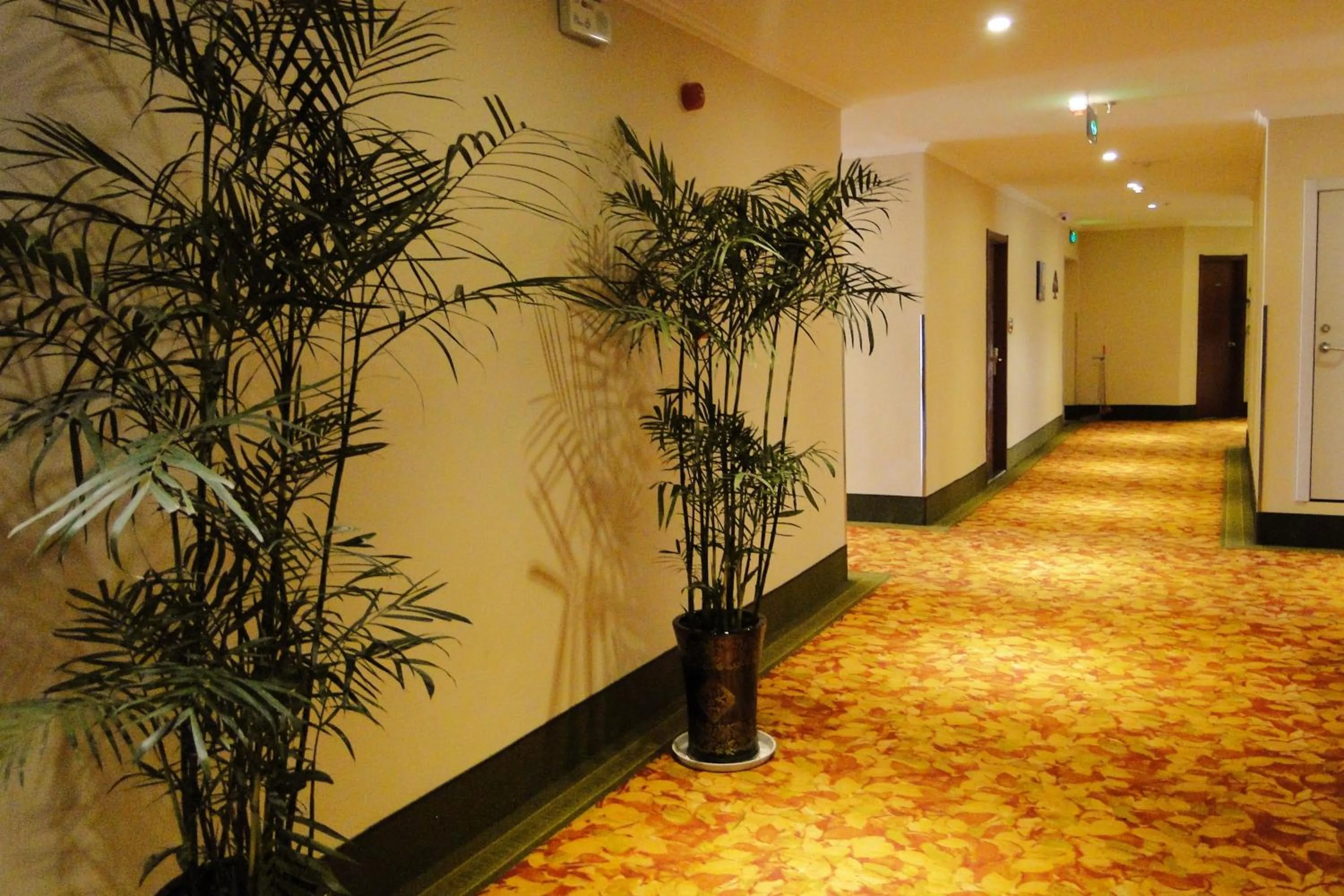 GreenTree Inn Fuyang Shopping Mall