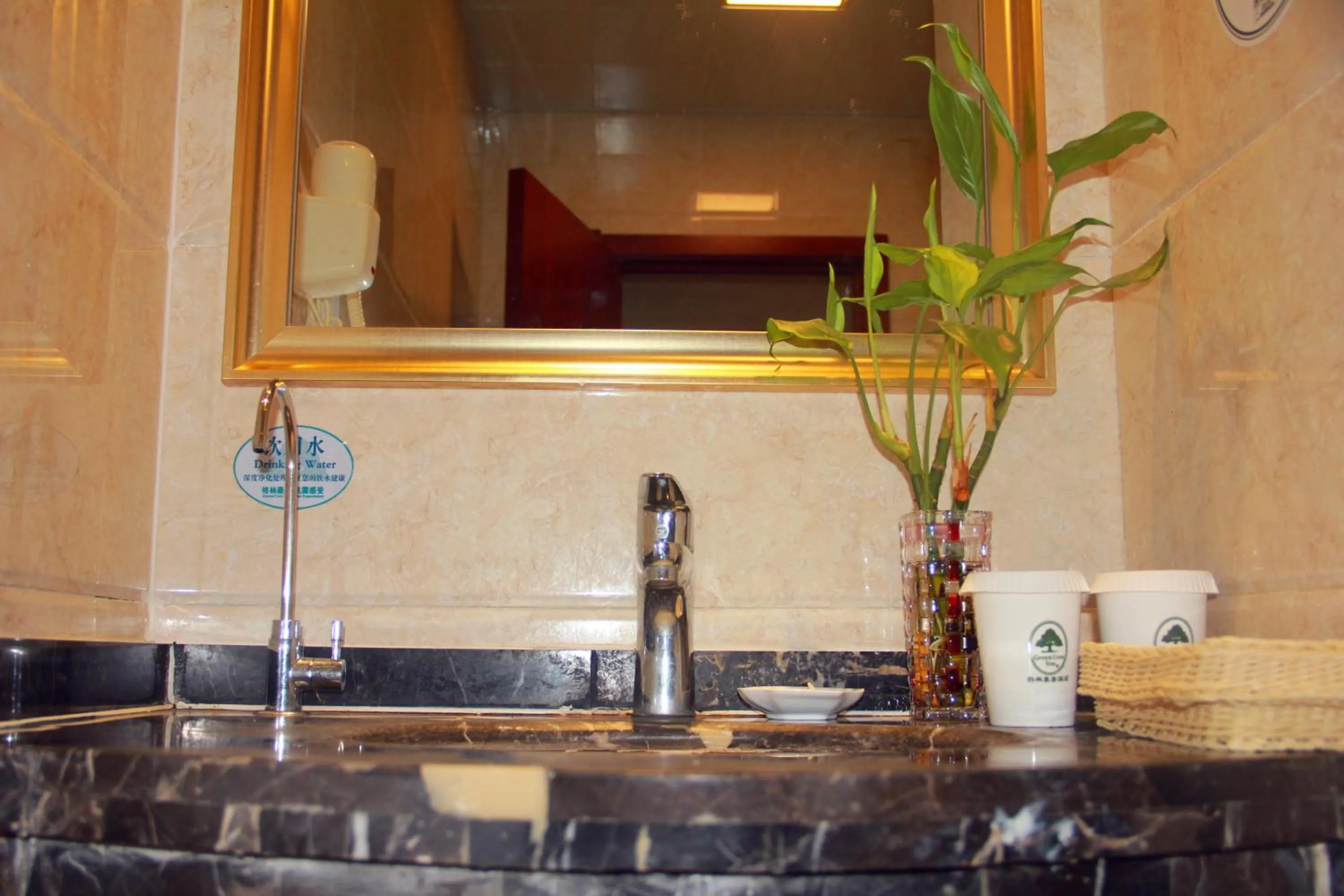 GreenTree Inn Fuyang Shopping Mall