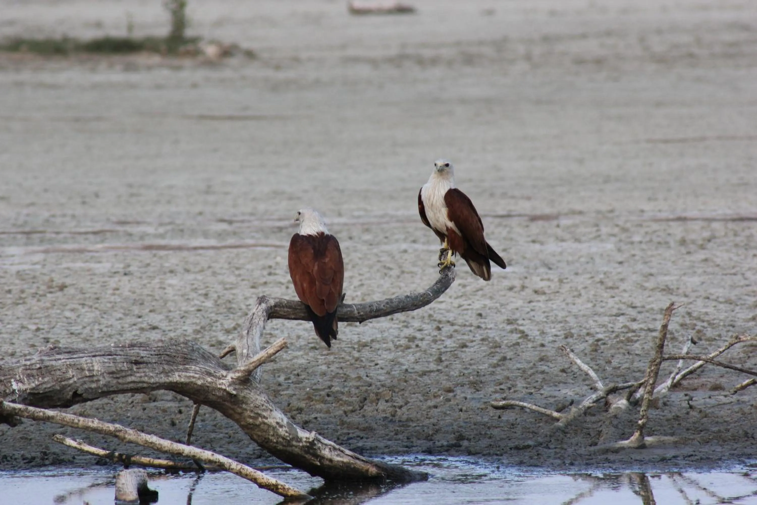 Other in Hideaway Lodge