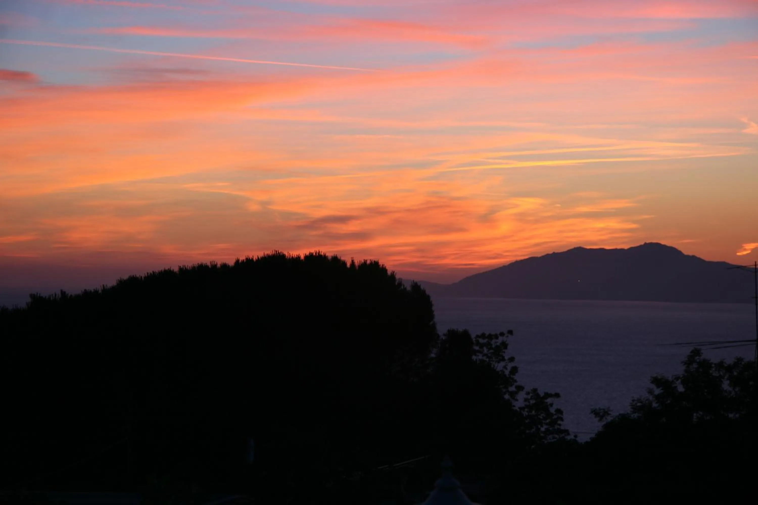 View (from property/room) in Il Giardino dell'Arte