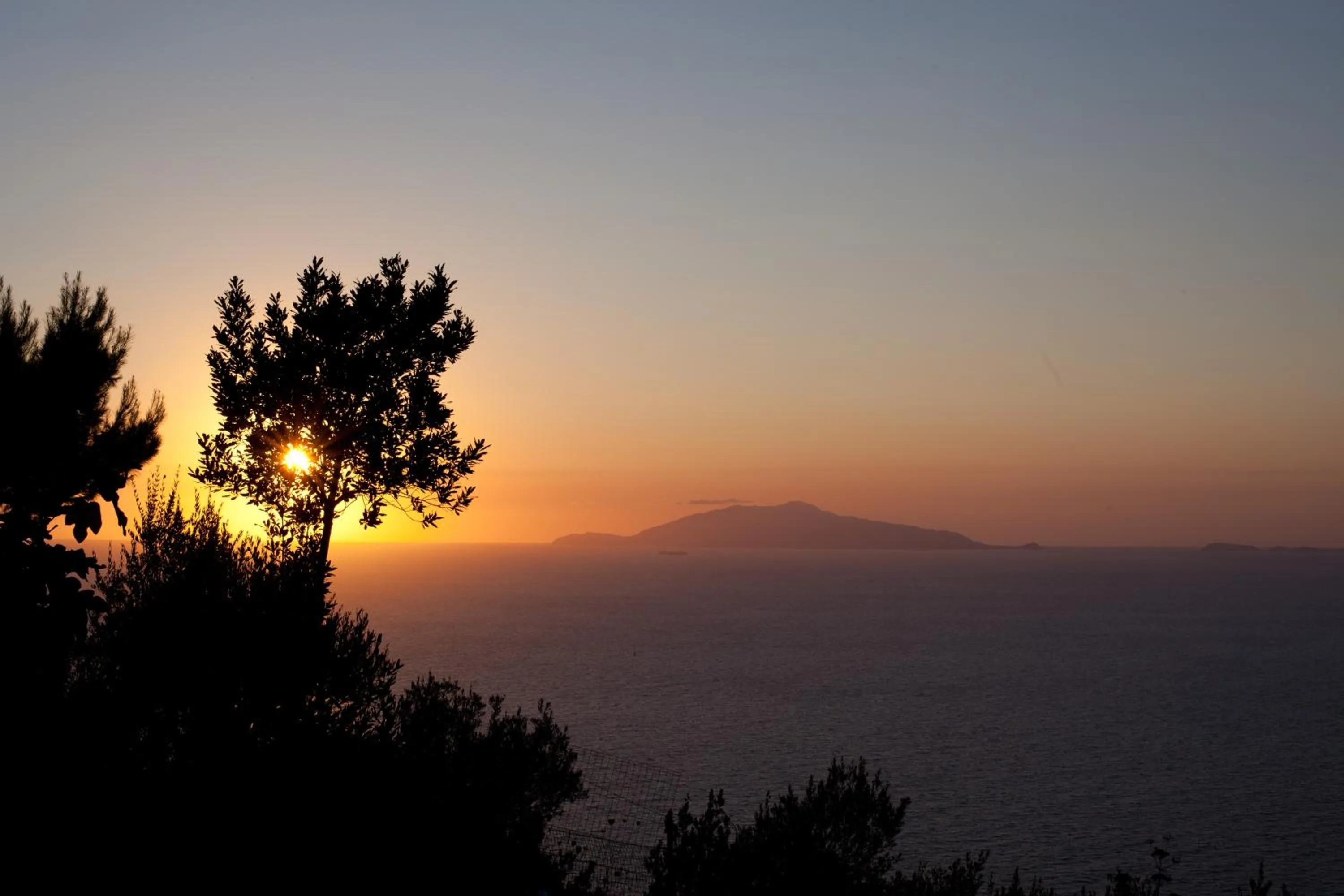 View (from property/room) in Il Giardino dell'Arte