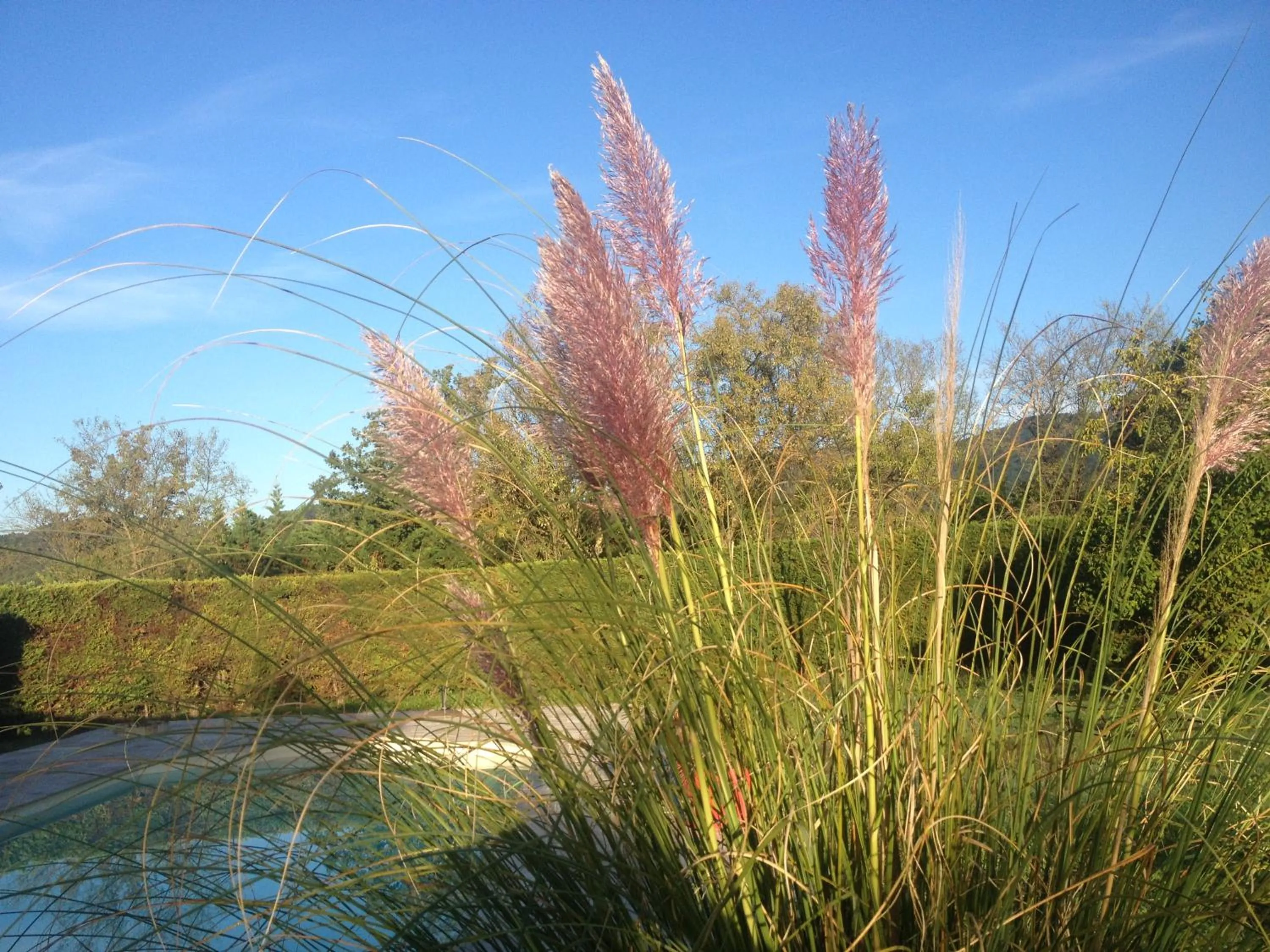 Garden in La Vignarelle