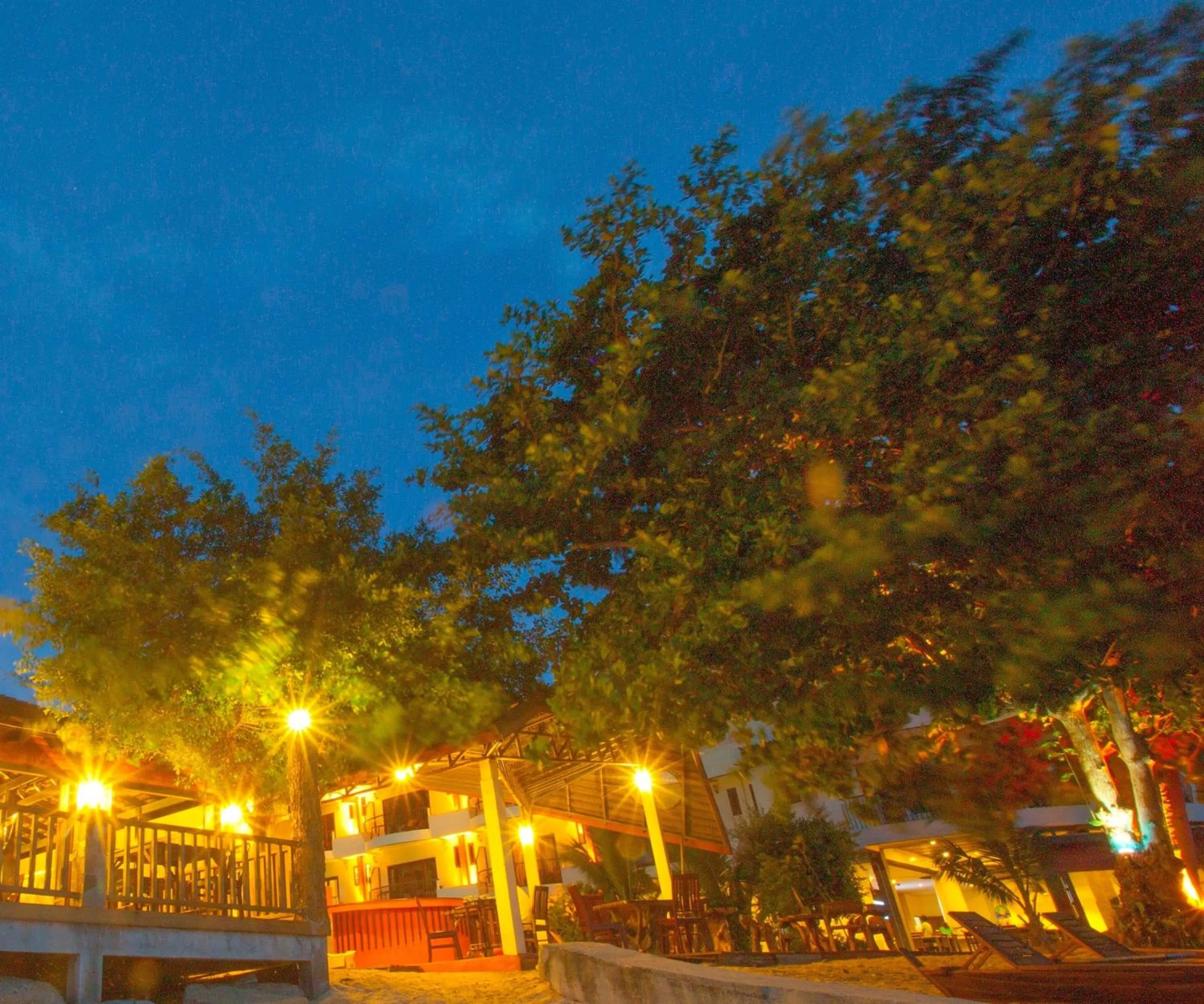 Lounge or bar in Koh Tao Beach Club