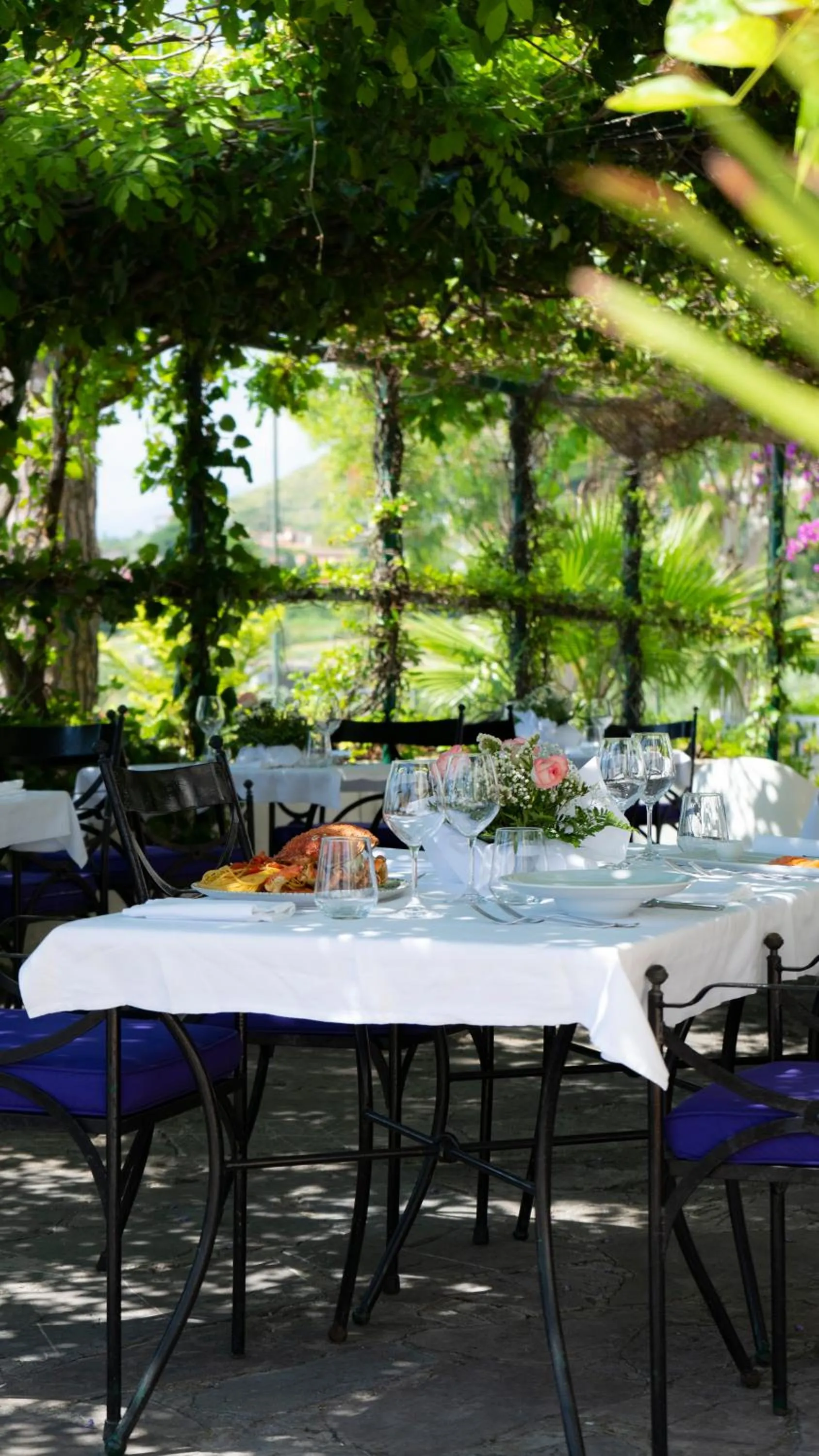 Restaurant/places to eat in Hotel Sinuessa Terme