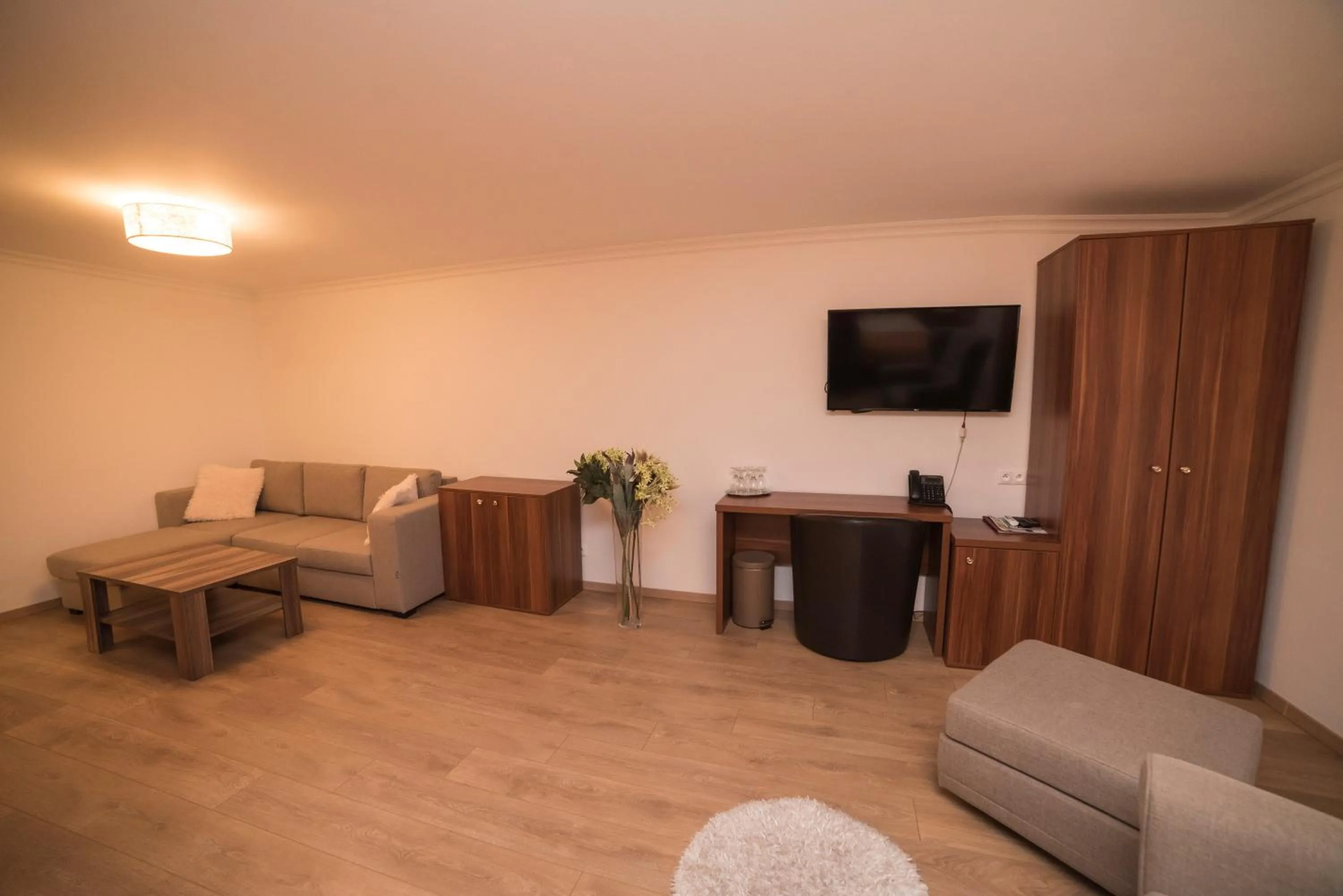 TV and multimedia in Hotel Alfa