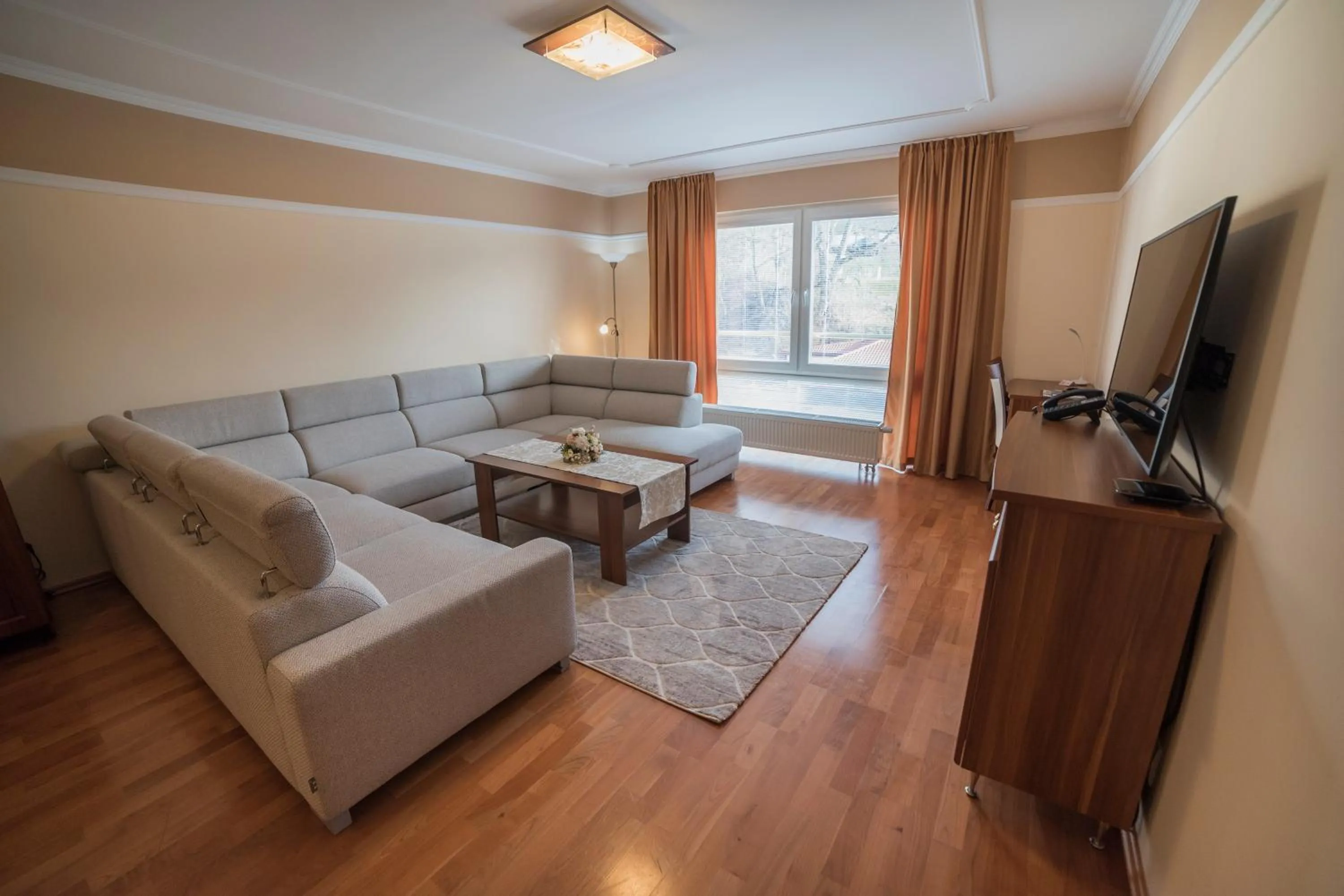 Living room in Hotel Alfa